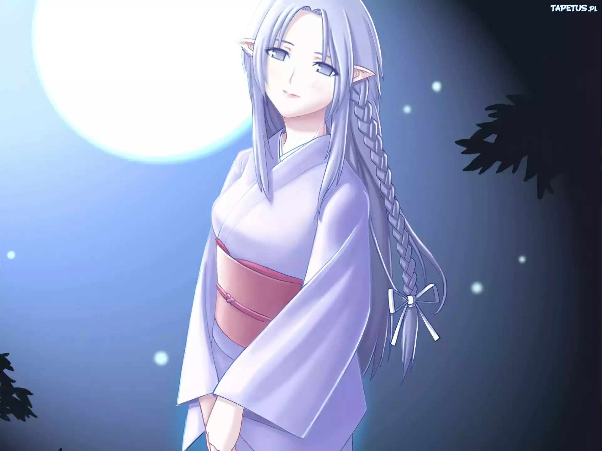 księżyc, Fate Stay Night, kimono, warkocz, kobieta