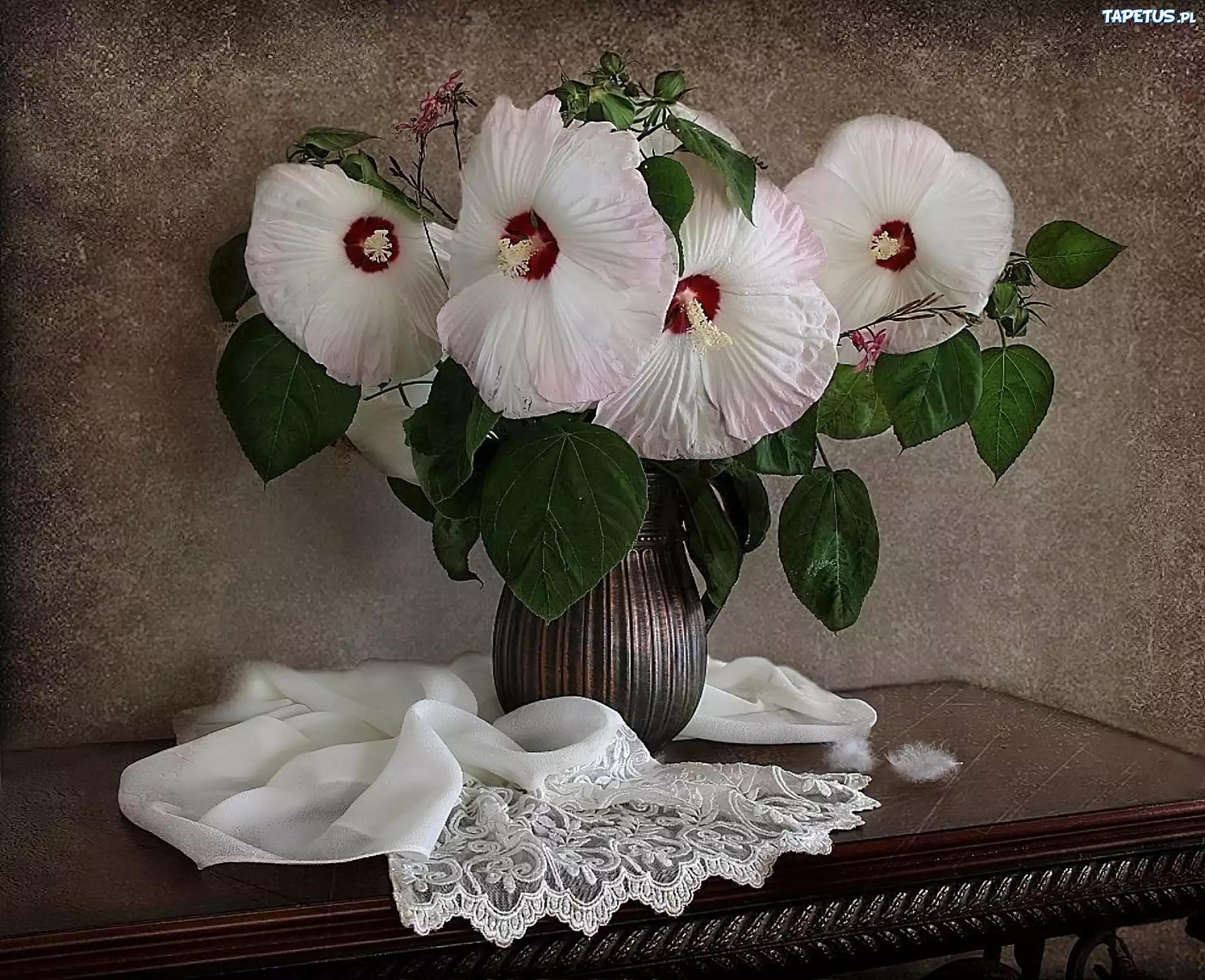 Stolik, Szal, Białe, Hibiskusy