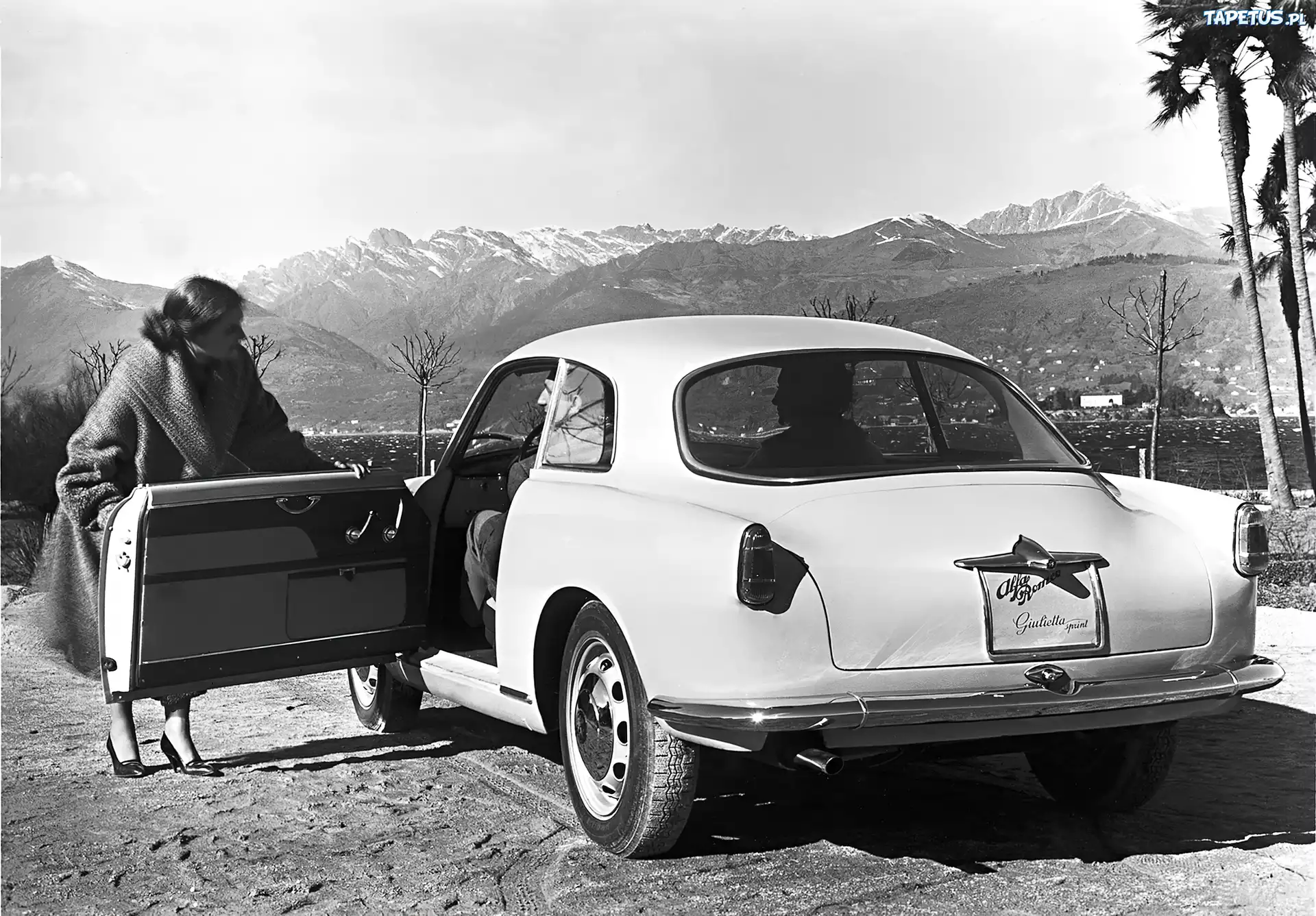Alfa Romeo,drzwi