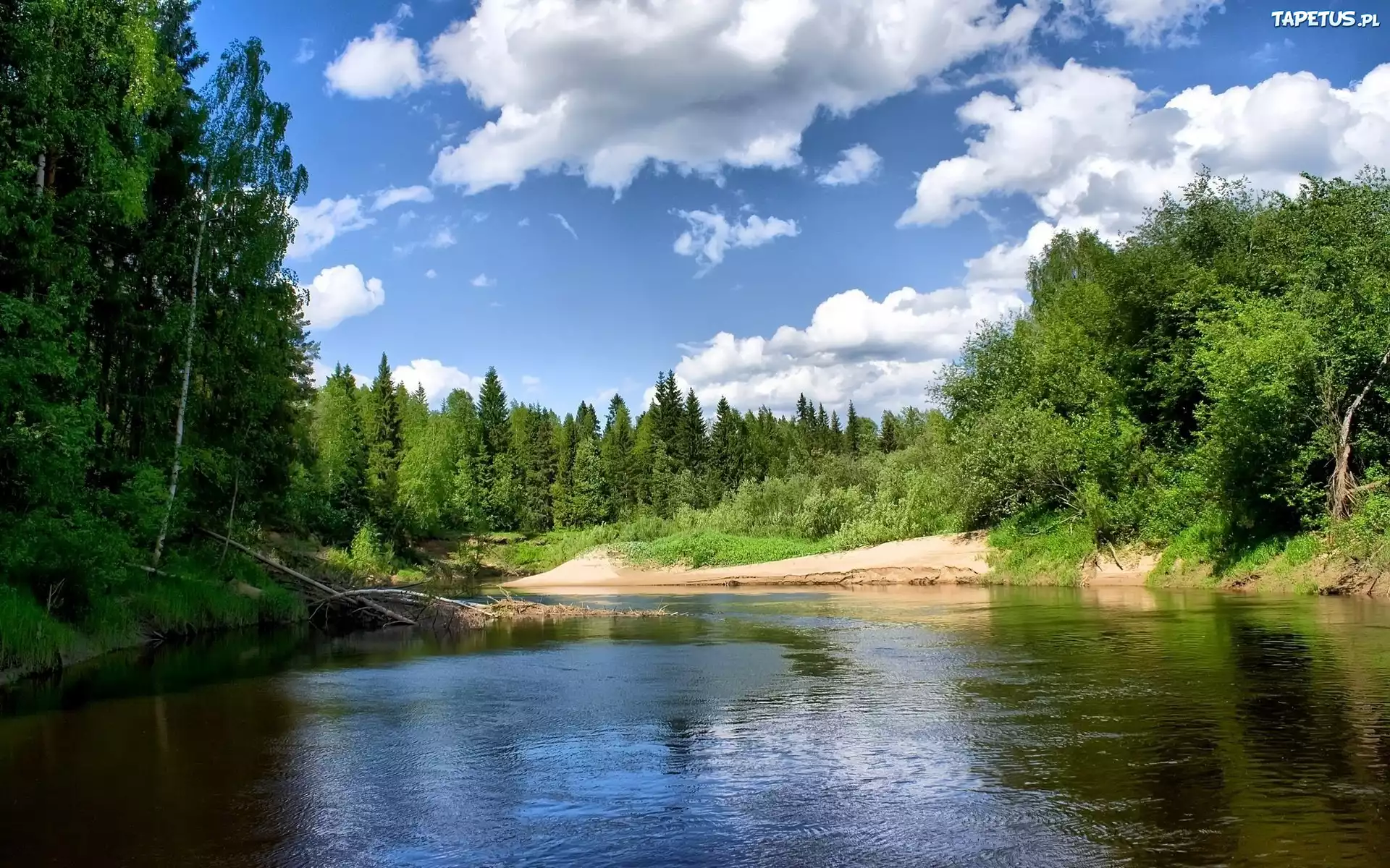 Jezioro, Drzewa, Słoneczna, Pogoda
