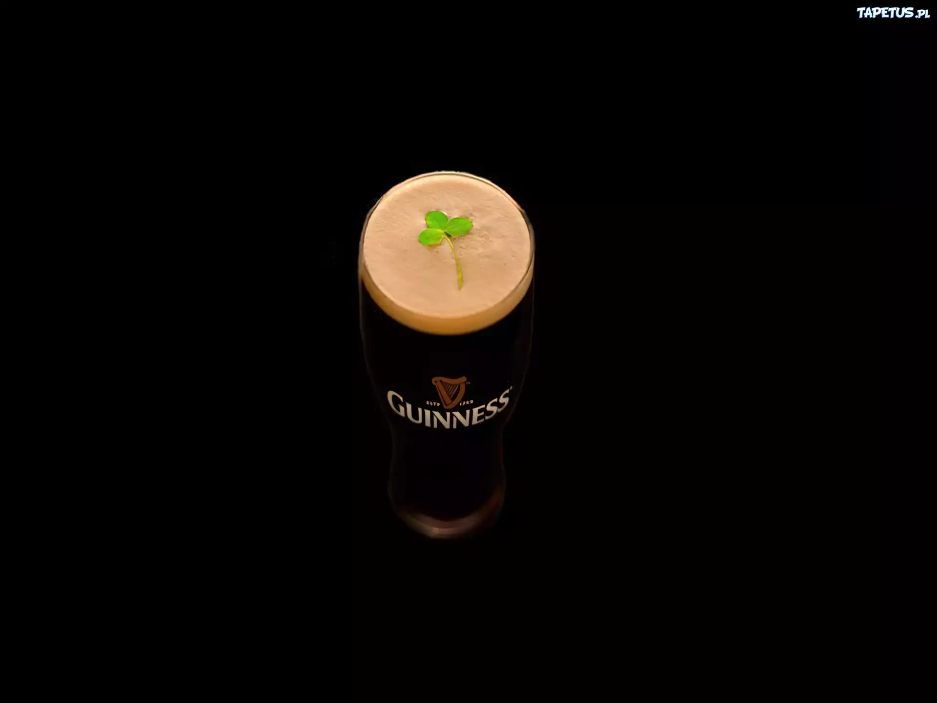 Piwo, Guinness, Irlandia, Koniczynka