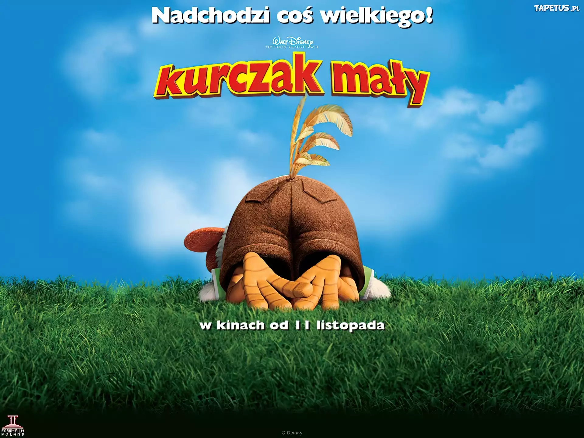 Kurczak Mały, trawa, kuper