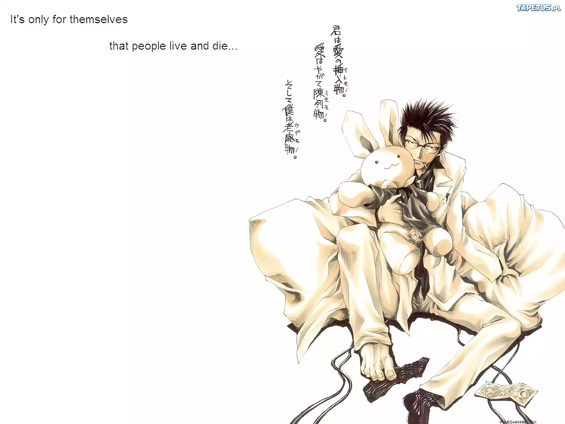 Saiyuki, skarpetka, facet, pluszak