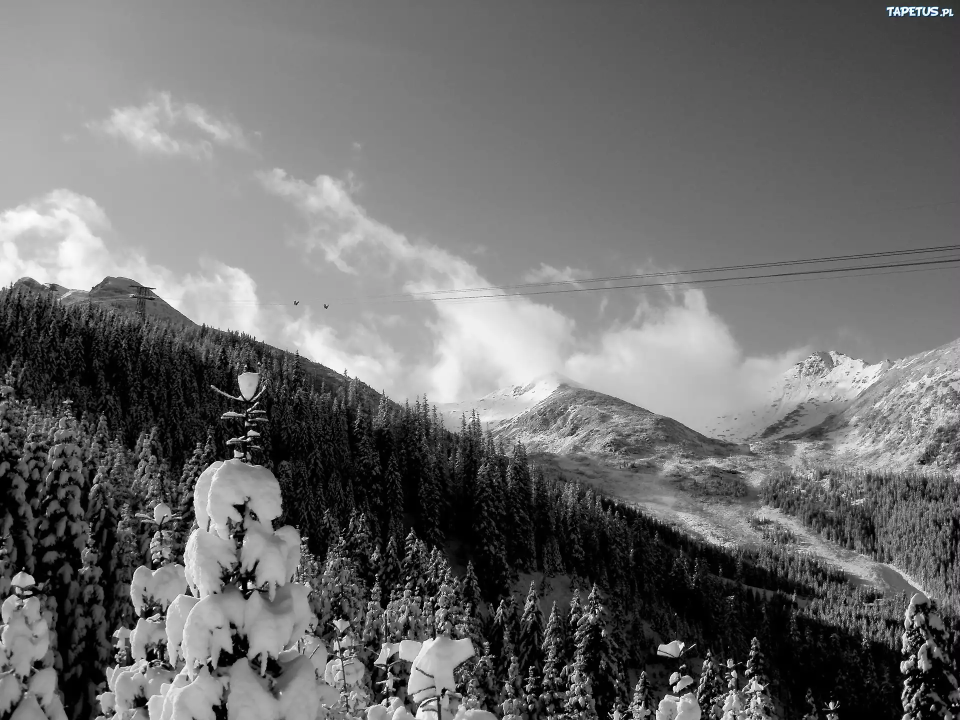 Tatry
