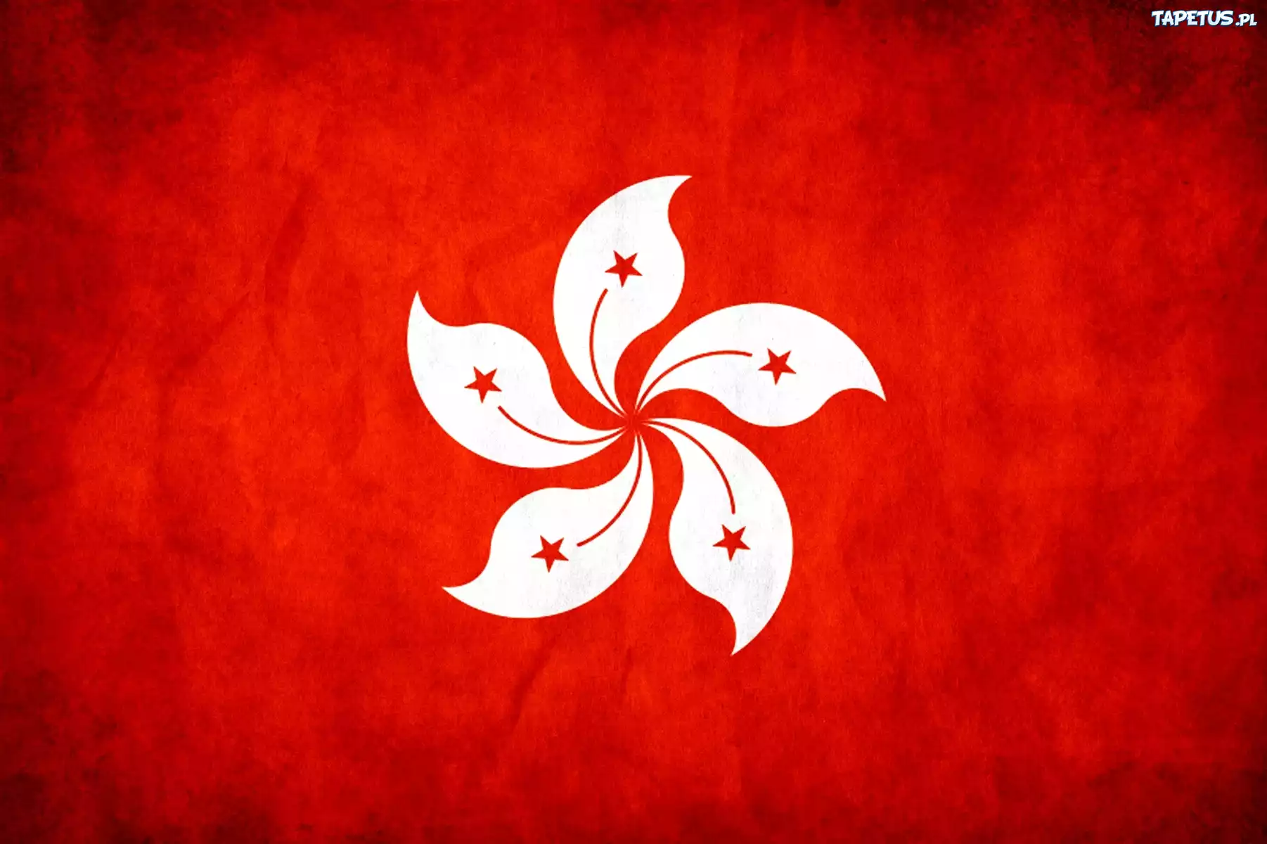 Flaga, Państwa, Hong Kong