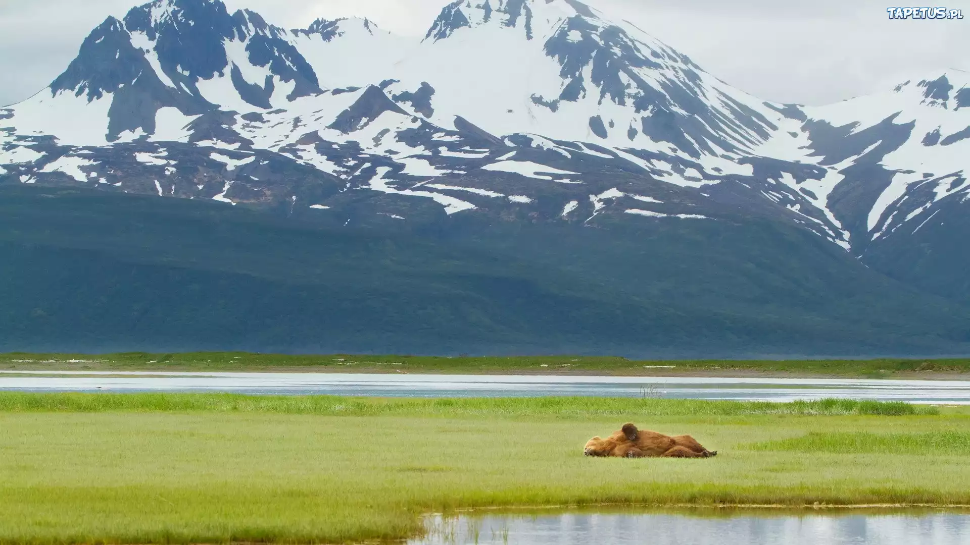 Naknek Lake, Katmai National Park, Alaska загрузить