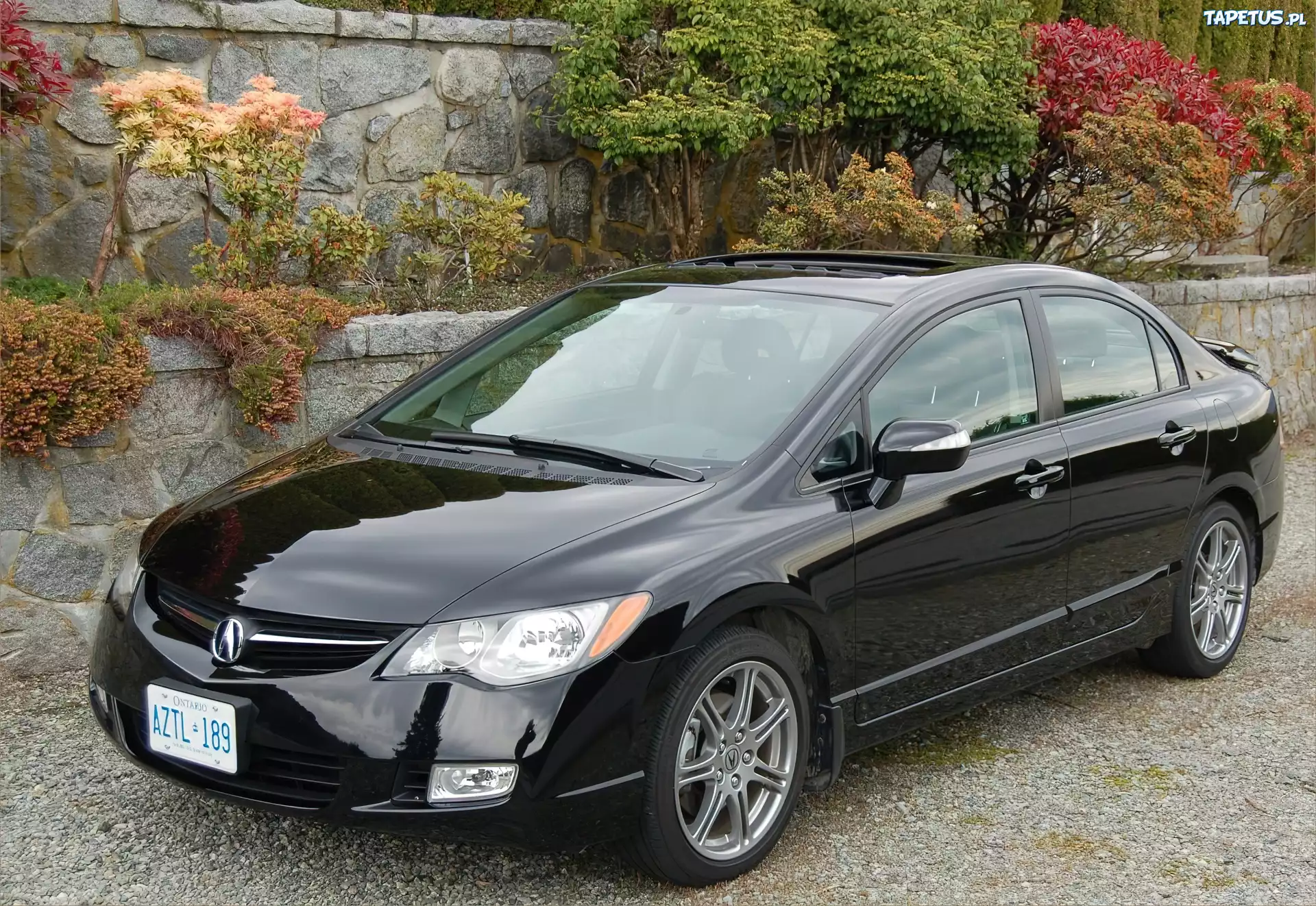 Czarna, Acura CSX, Rejestracja, Ontario