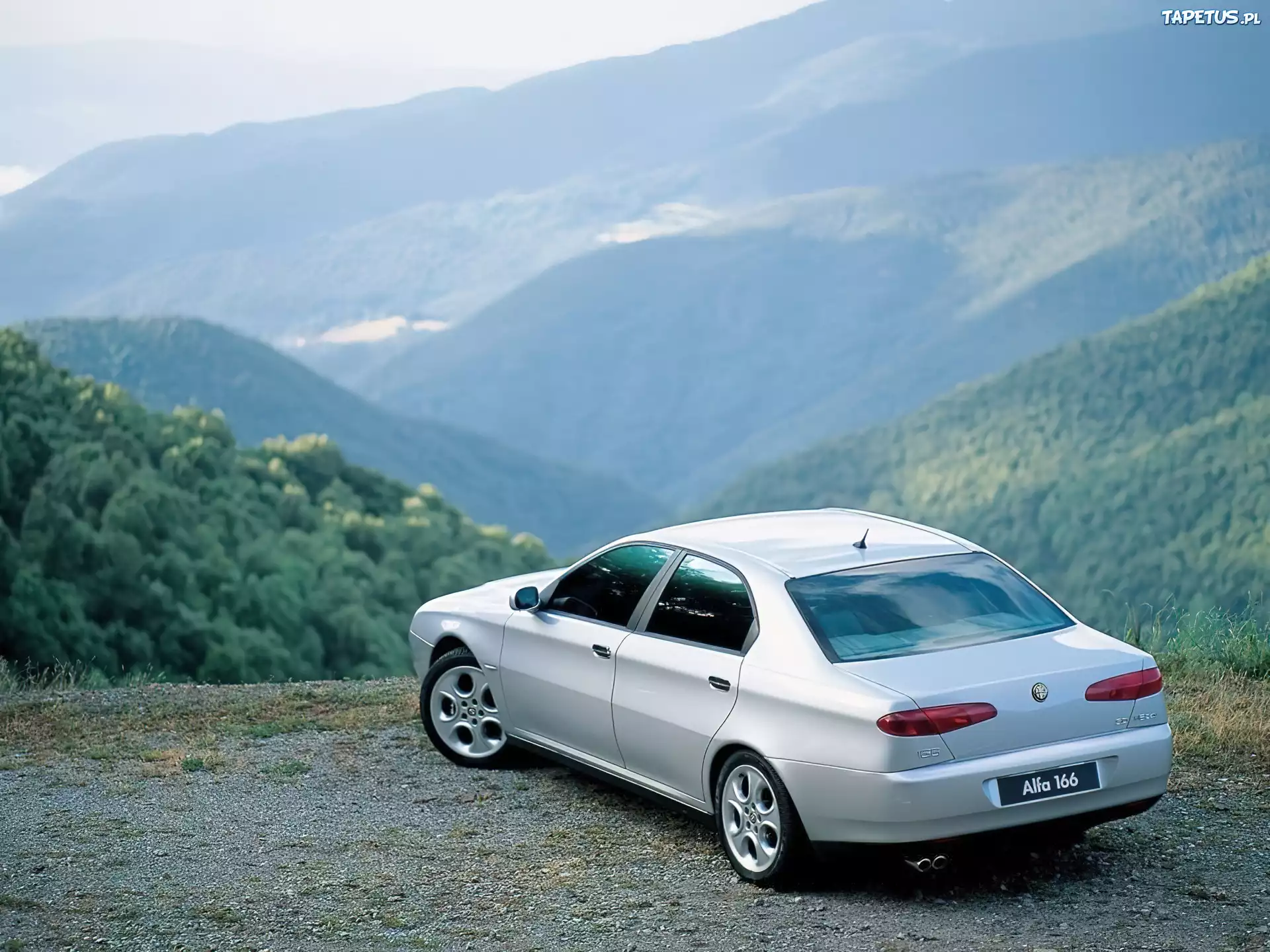 Alfa Romeo 166, Dolina