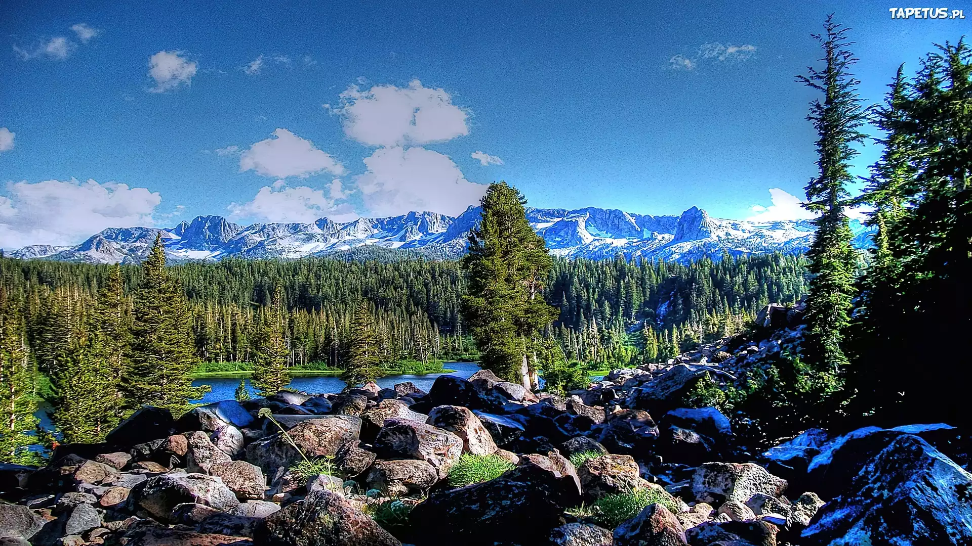 Góry, Choinki, Kamienie