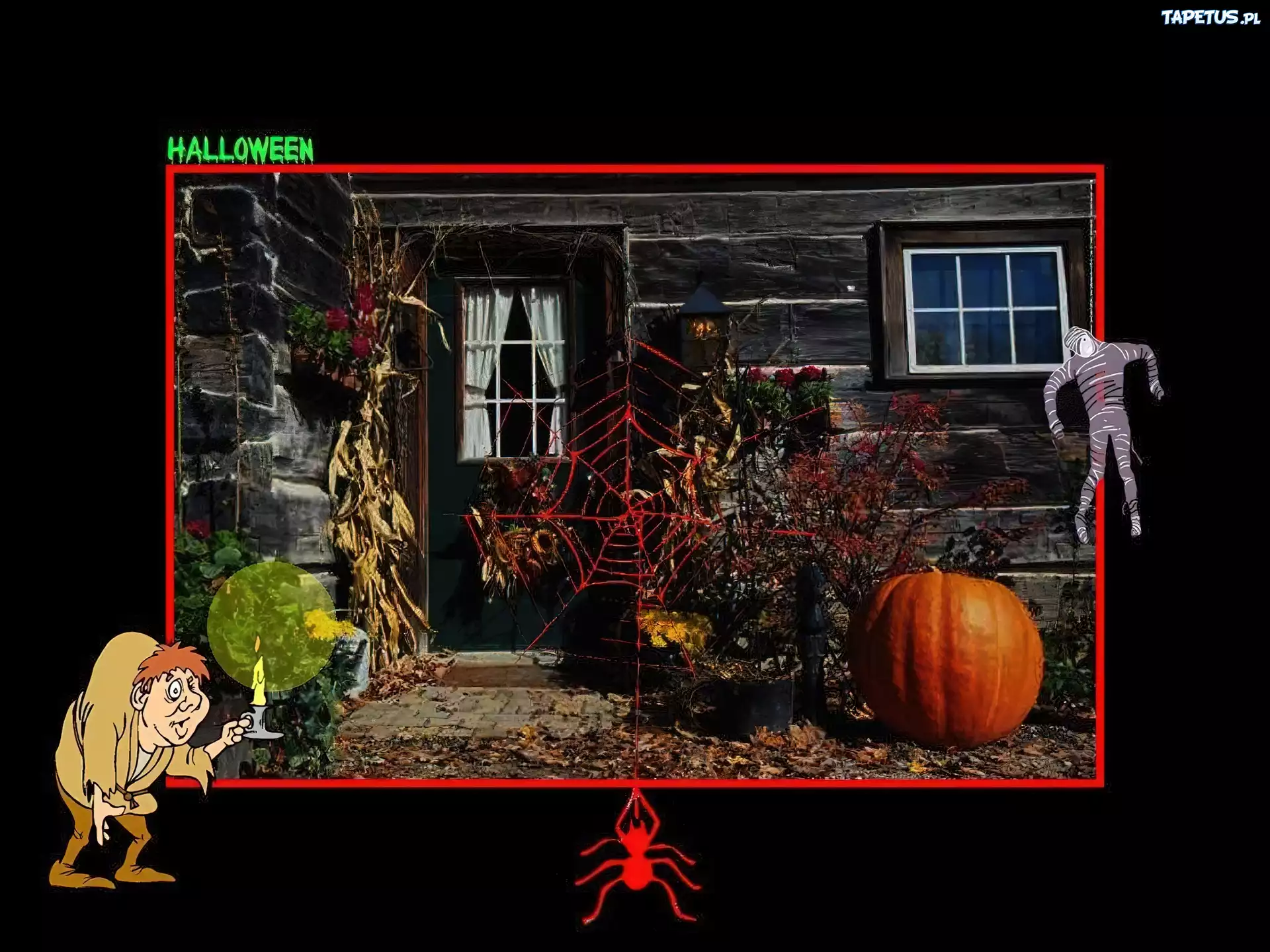 Halloween,pajęczyna , domek