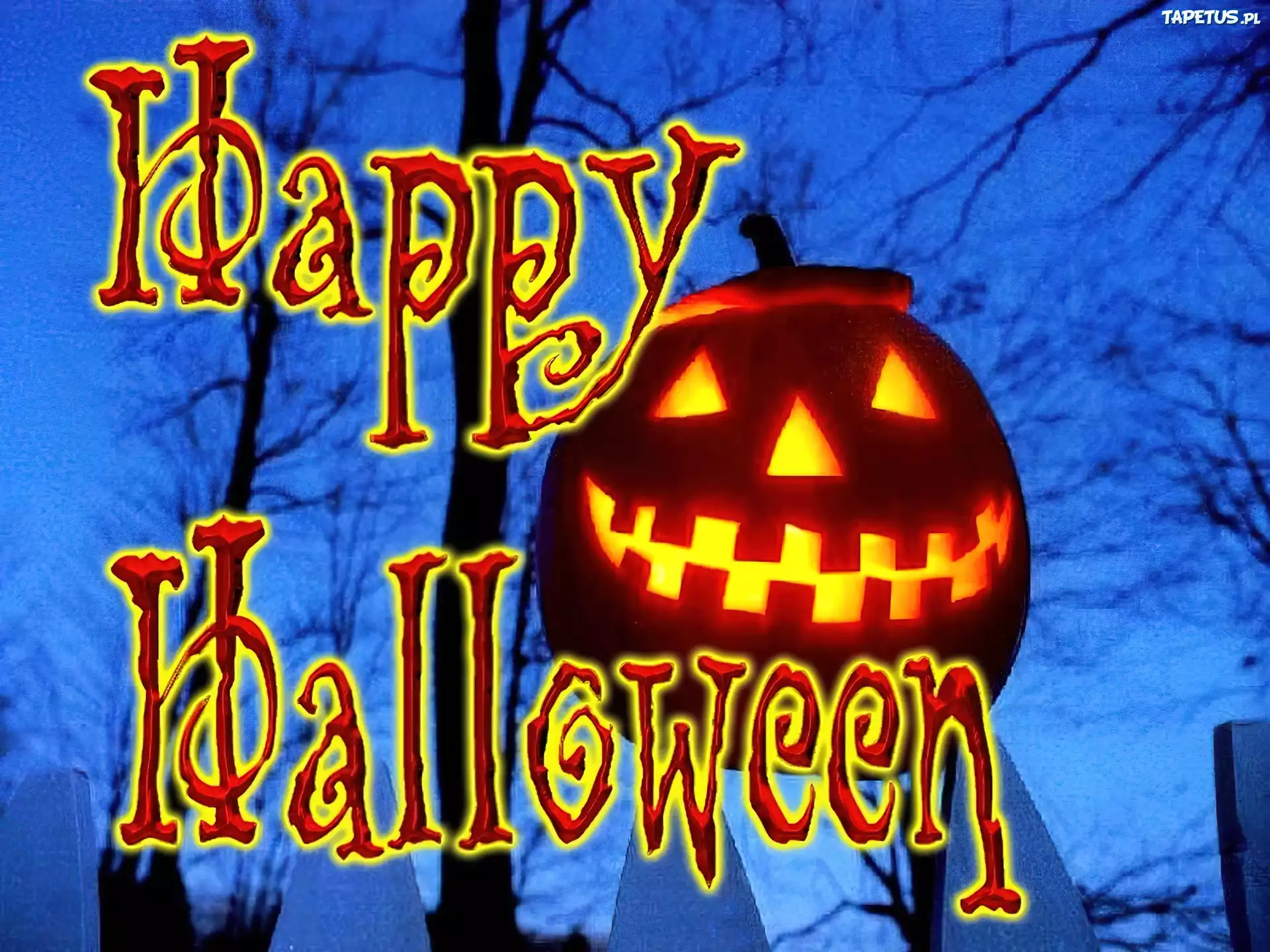 Halloween,dynia