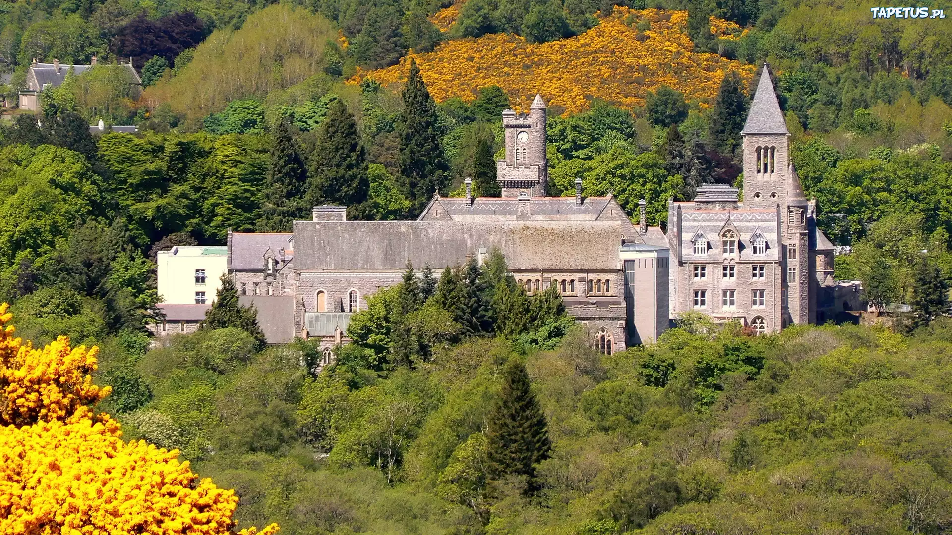 Szkocja, Zamek, Nad, Loch Ness