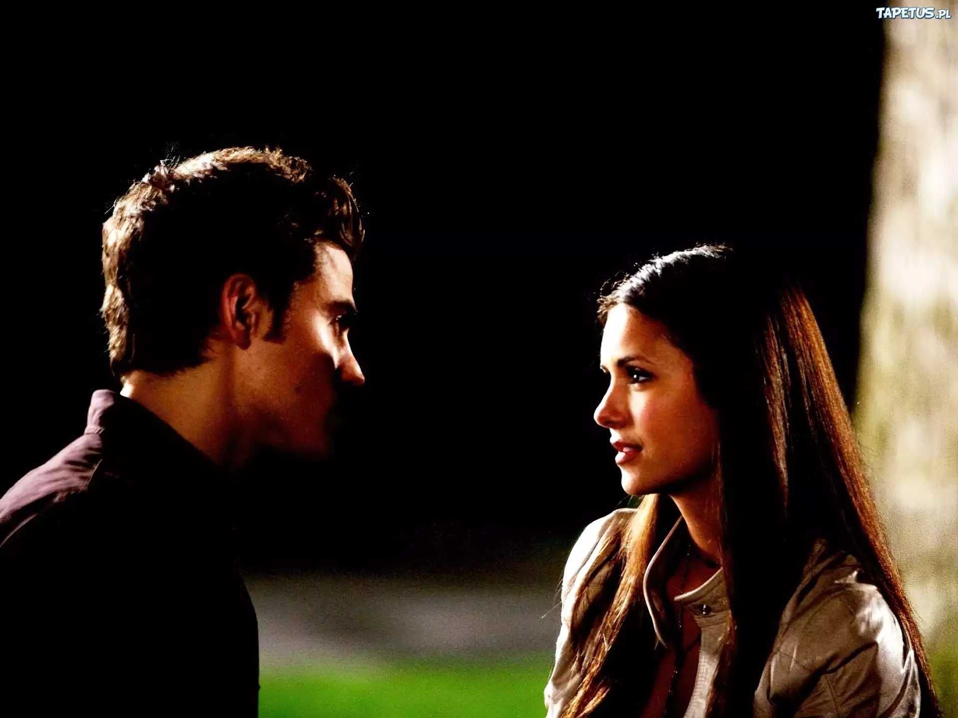 Elena, Stefan, The Vampirie Diaries