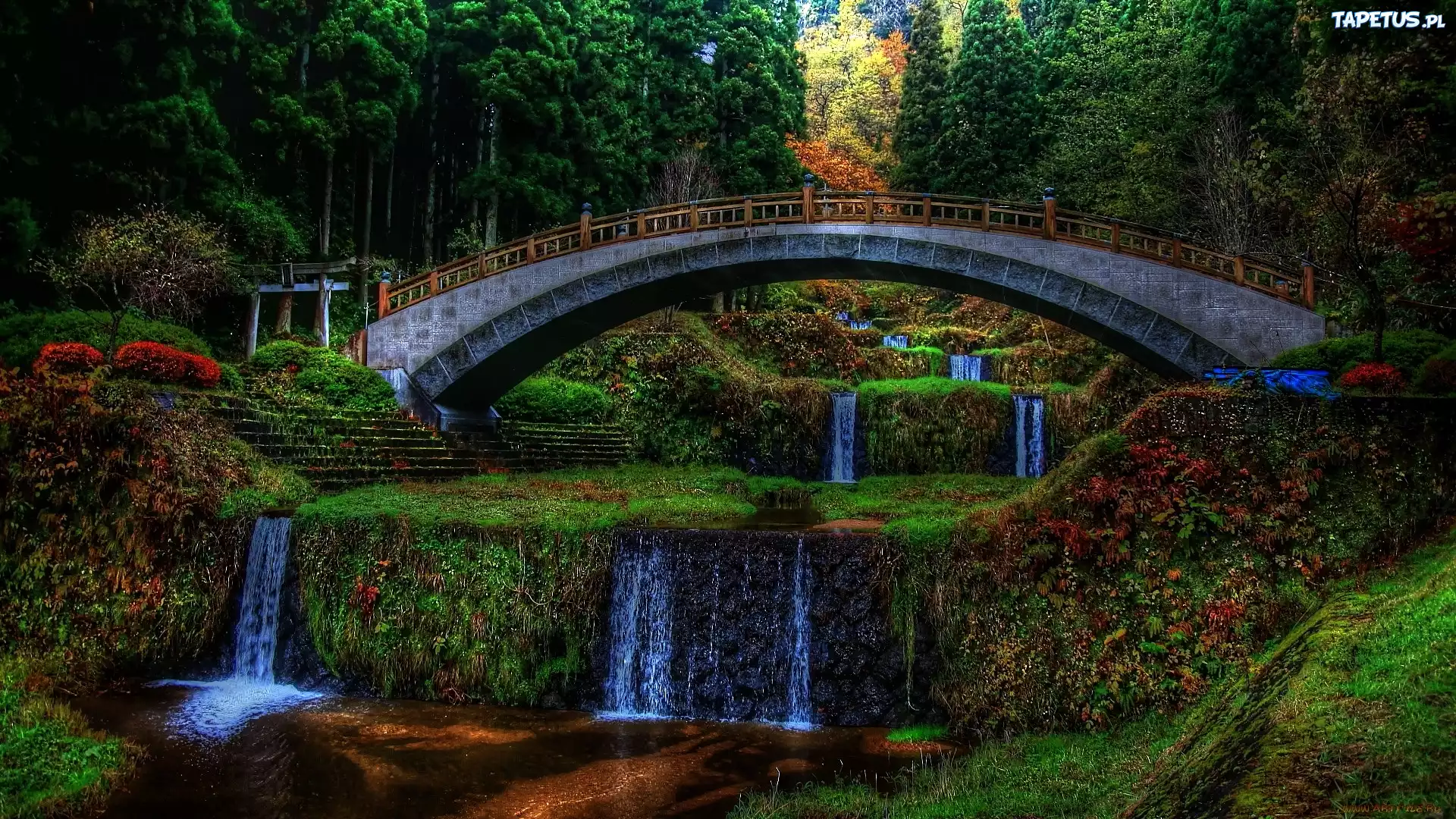 Park, Kaskada, Most