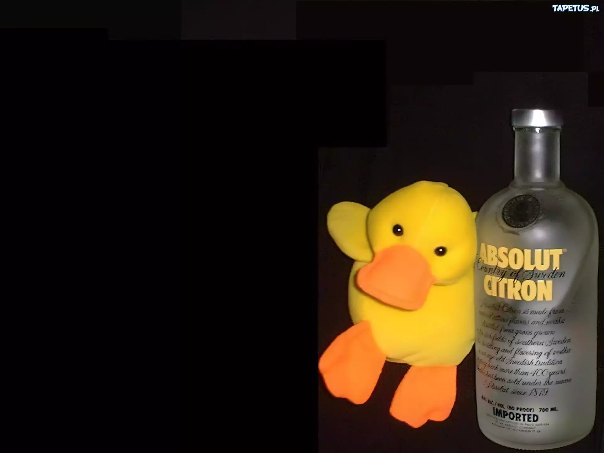 Vodka, Absolut Citron, kaczka