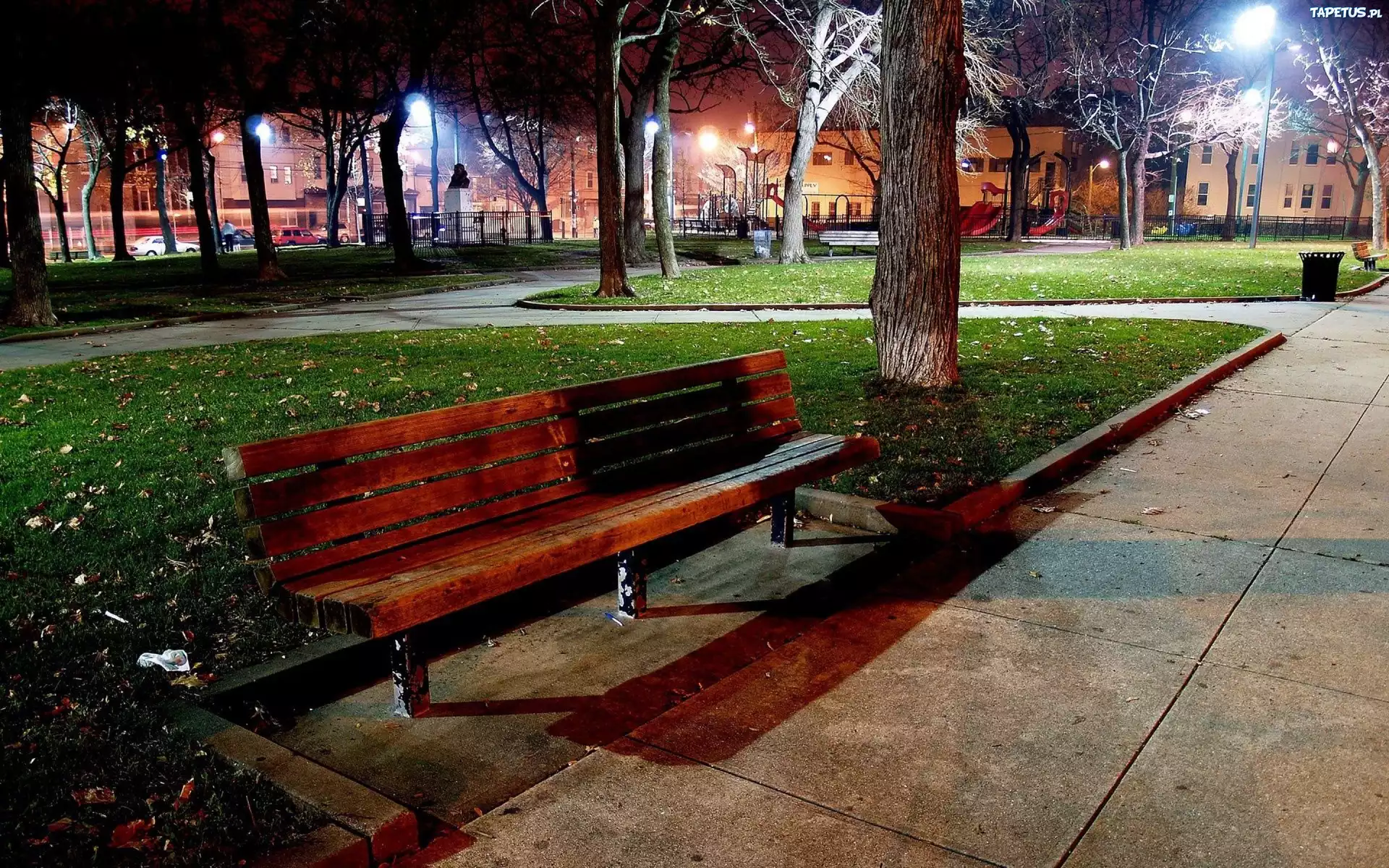 Ławka, Noc, Park
