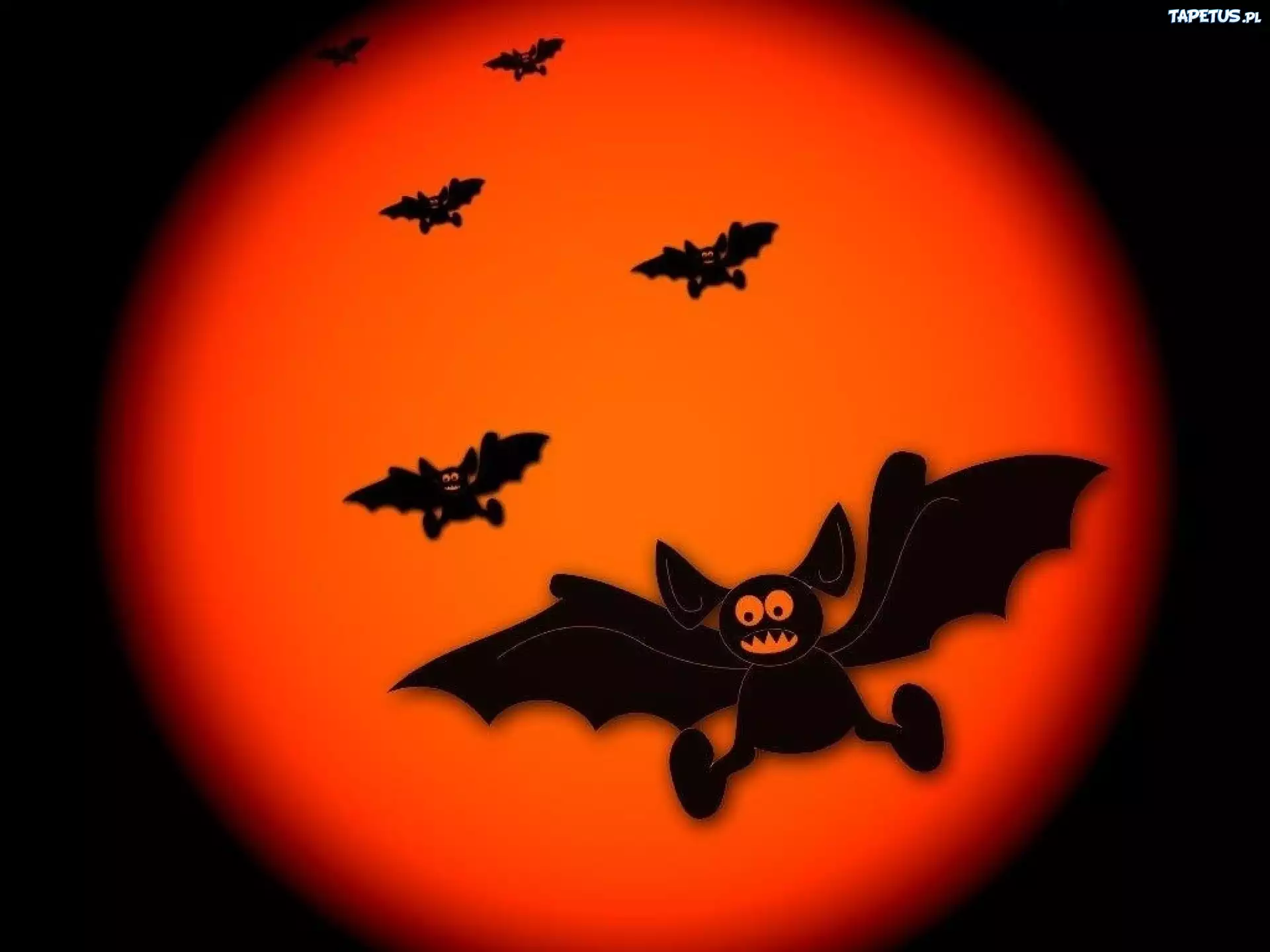Halloween,nietoperze