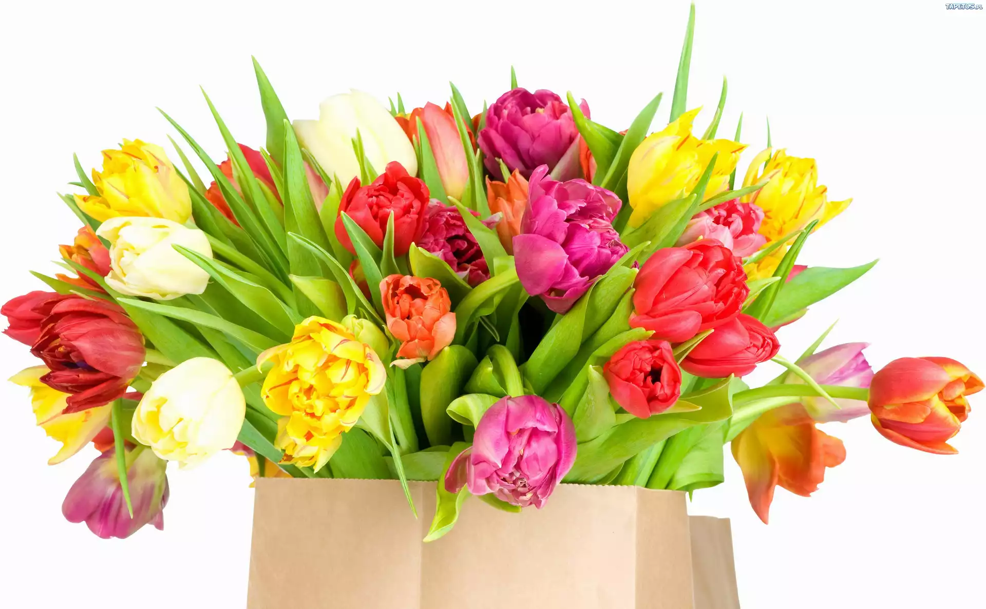 Kolorowe, Tulipany, Bukiet