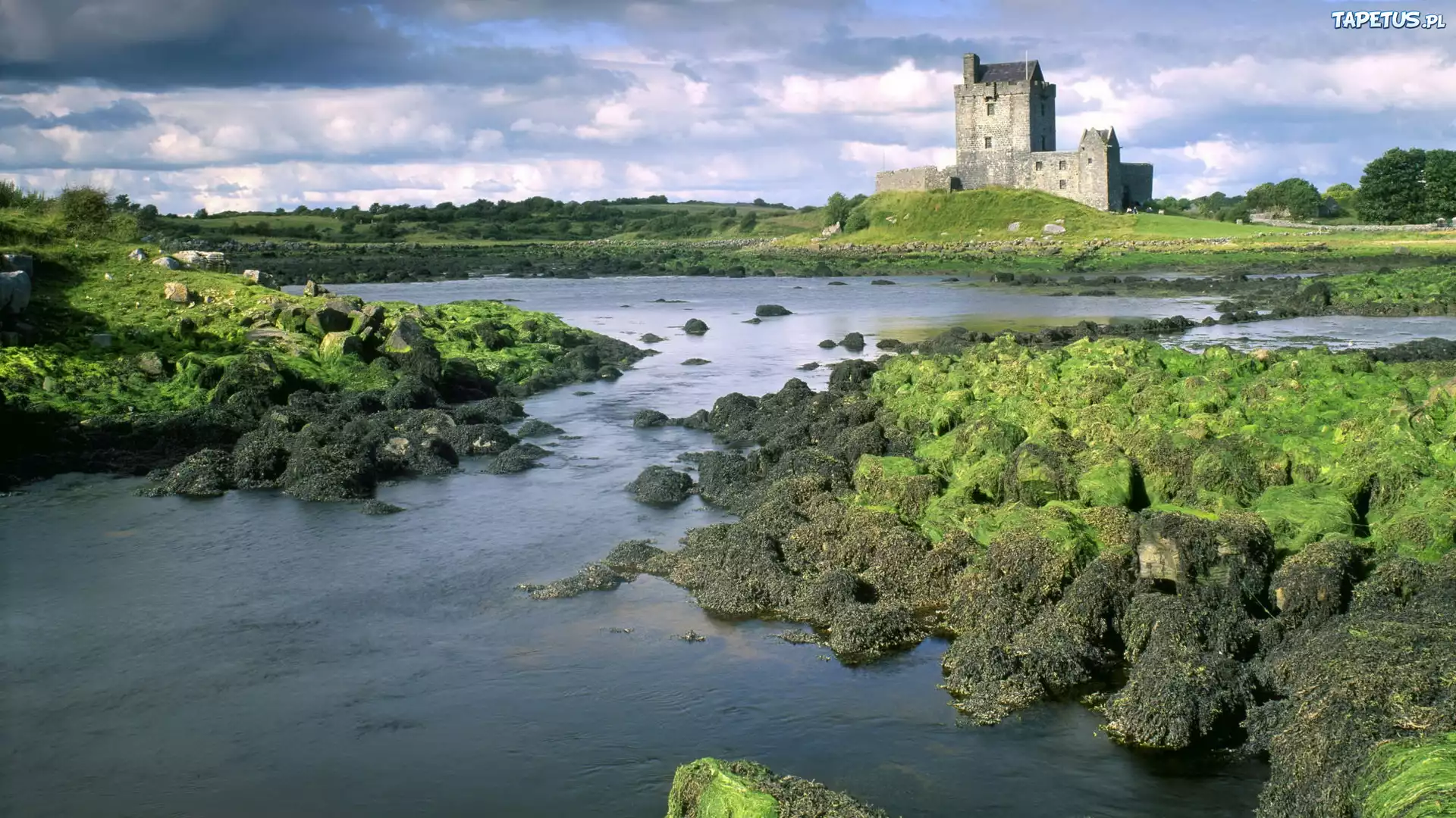 Zamek, Eilean Donan, Szkocja, Zielone, Skały