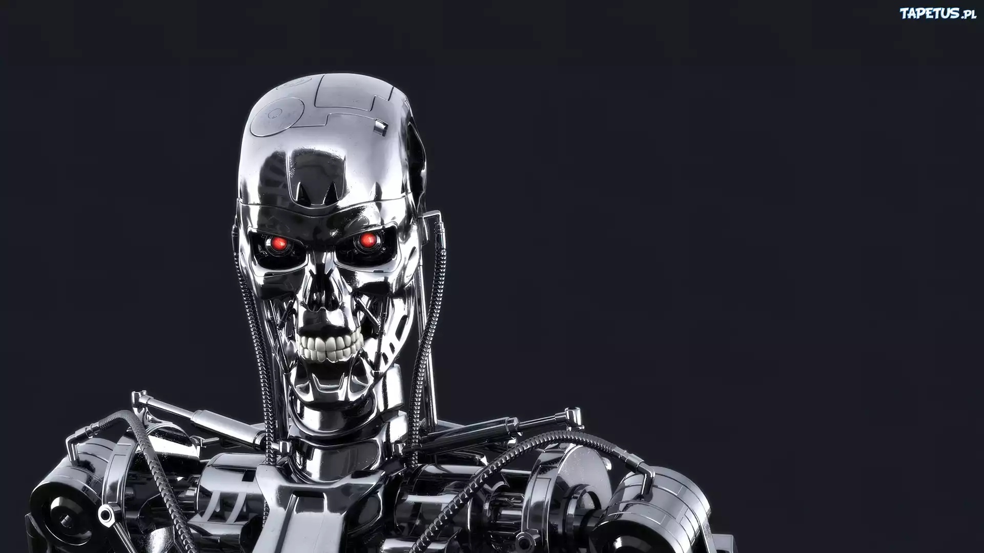 Cyborg, Terminator