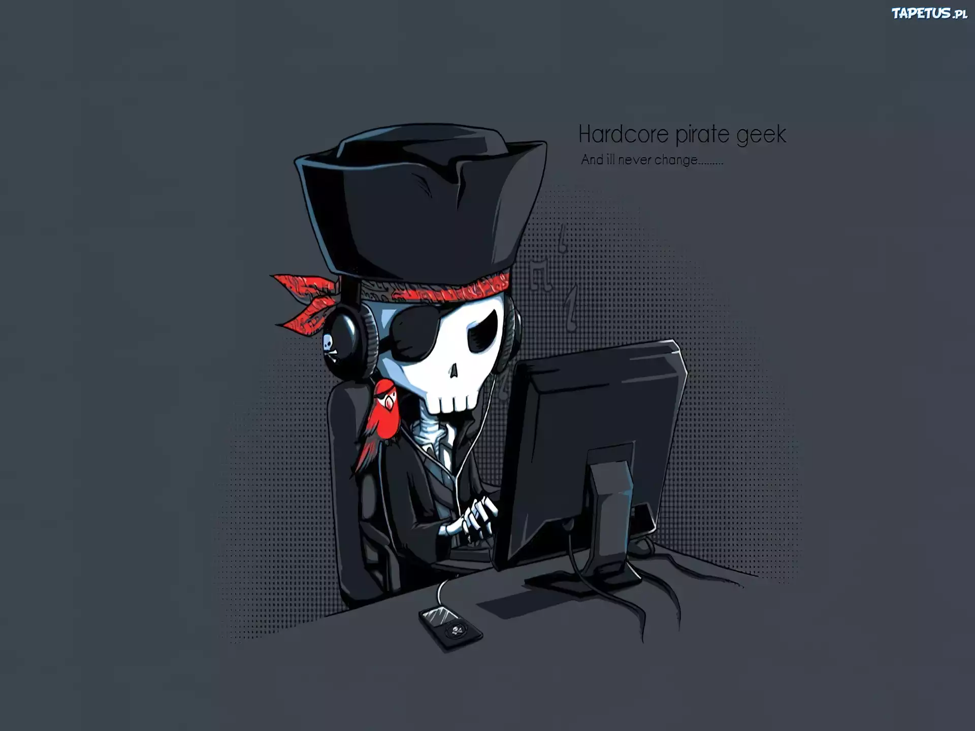Pirat, Internetowy