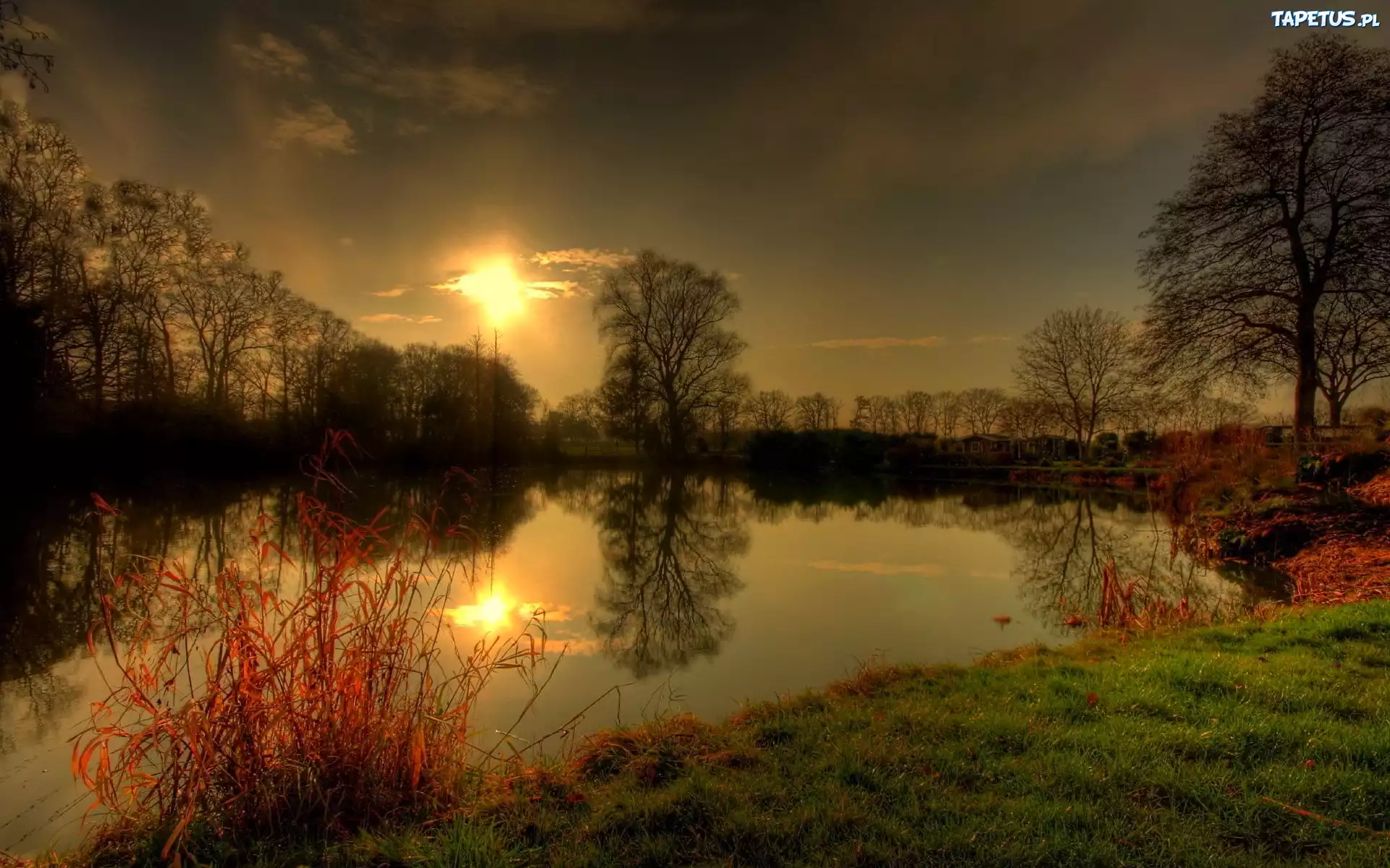 блики солнца над озером загрузить