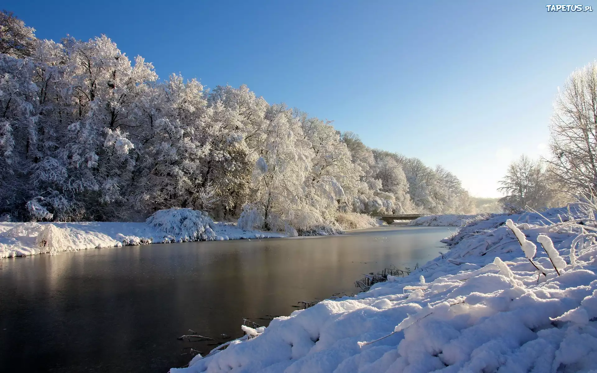 Śnieg, Rzeka, Drzewa