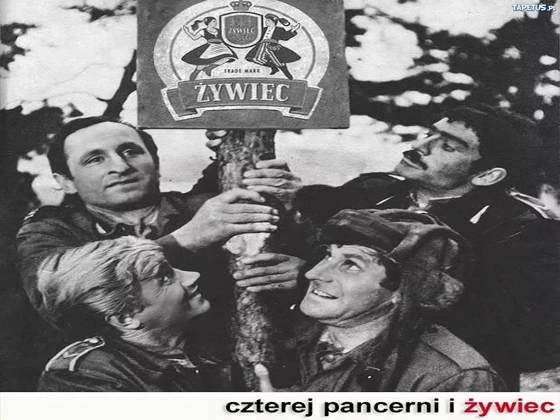 Piwo, Piwo Żywiec, czterej pancerni