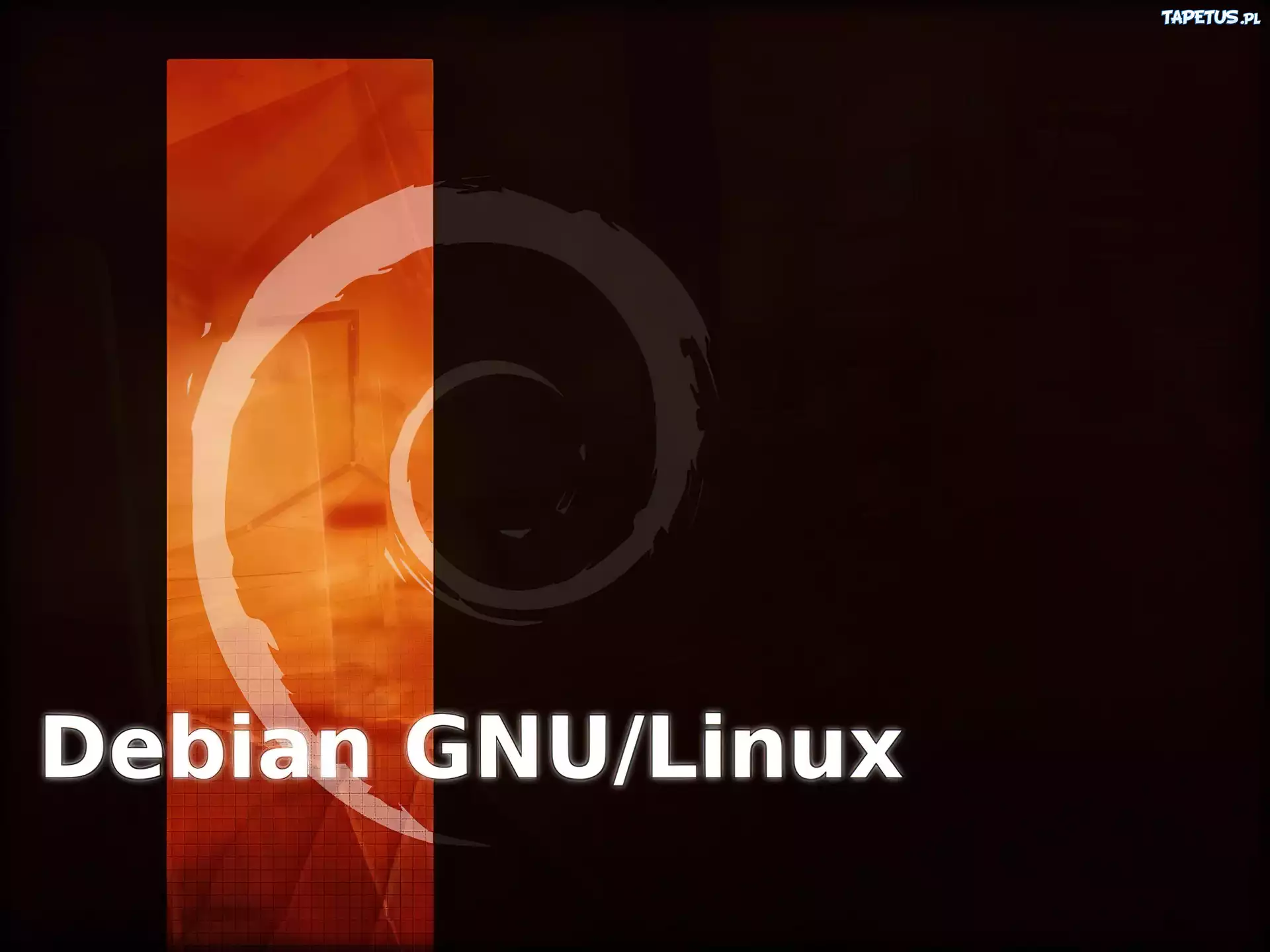 grafika, muszla, ślimak, zawijas, Linux Debian