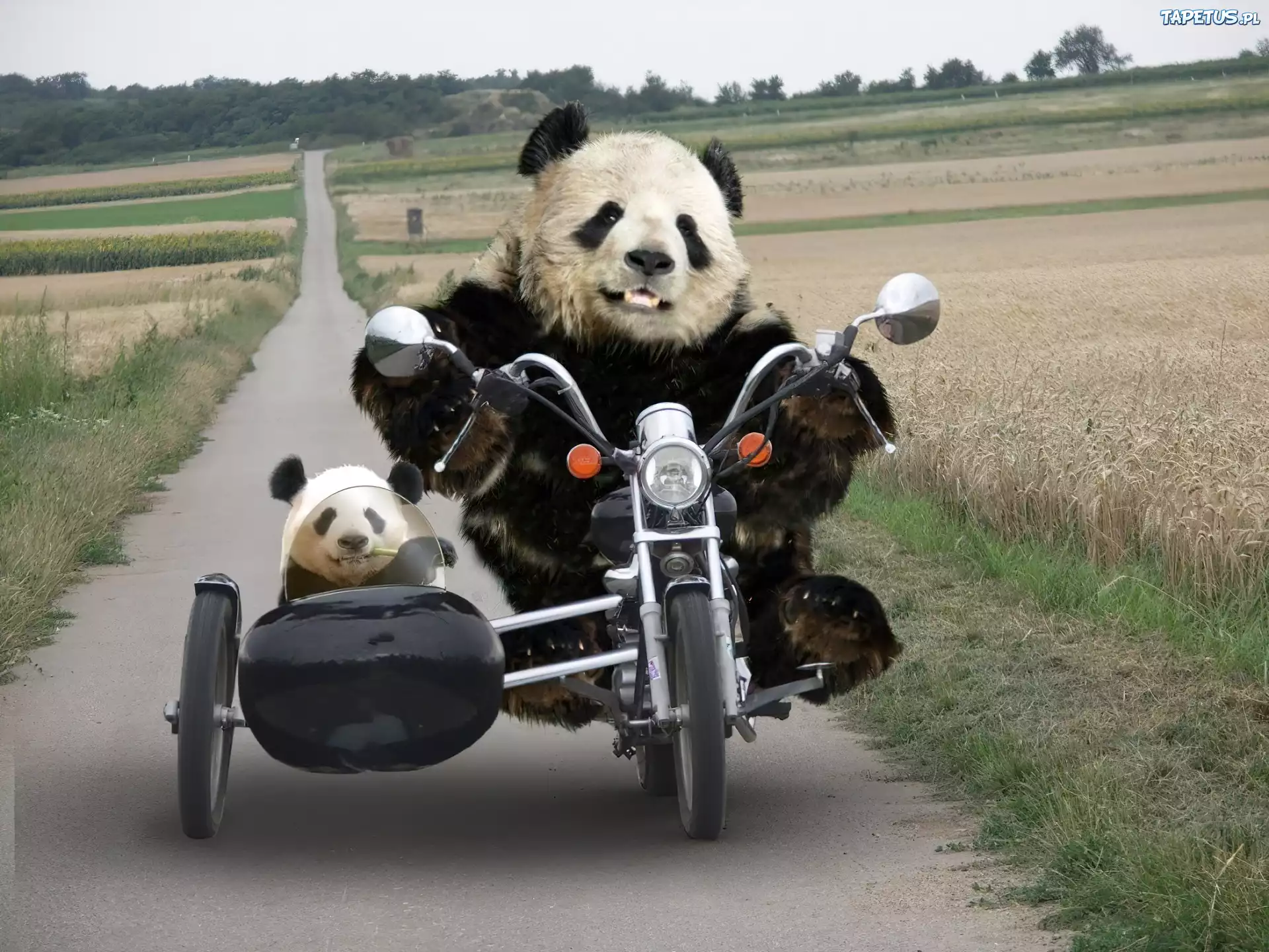 Pandy, Na, Motocyklu