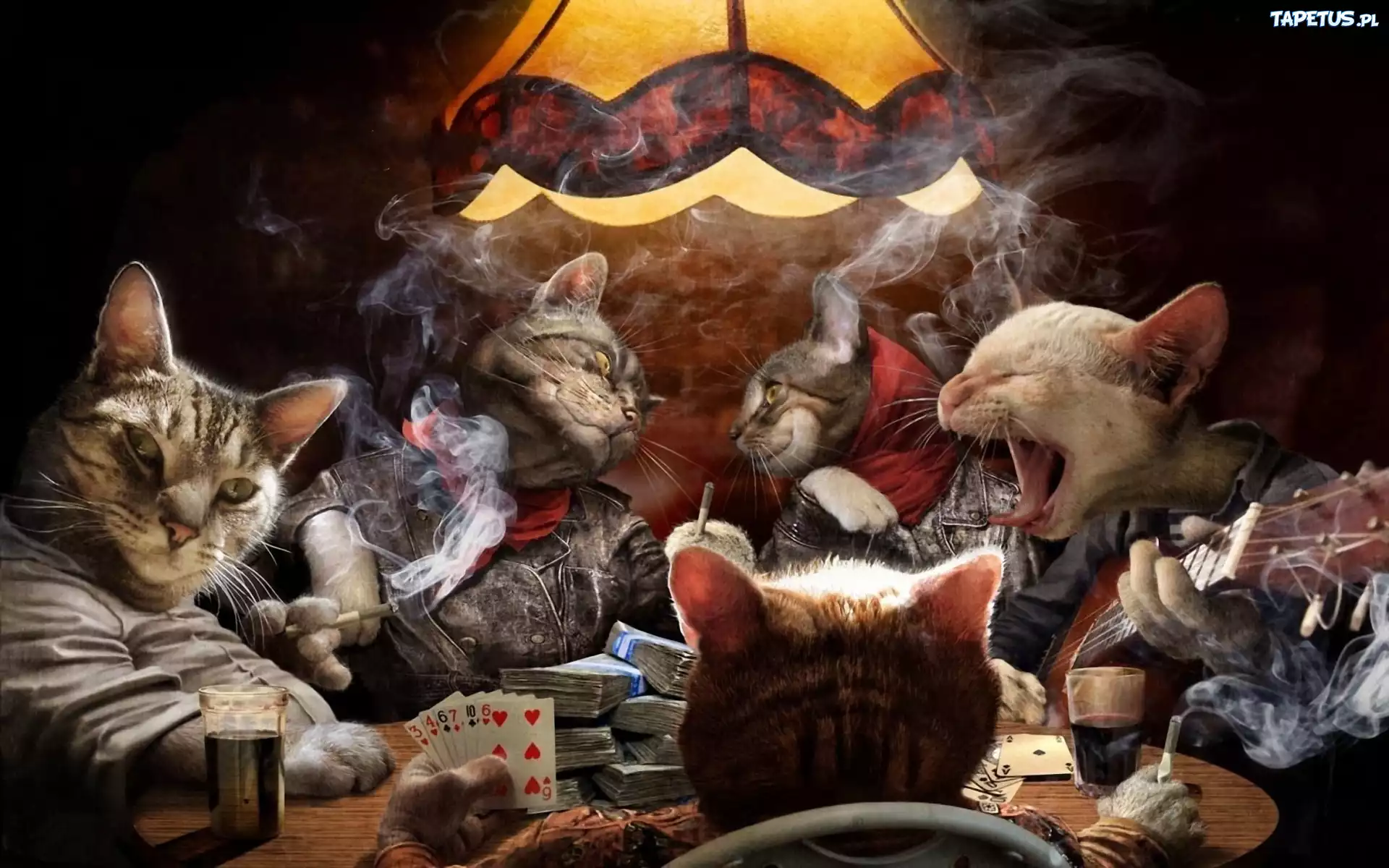 Koty, Karty, Poker
