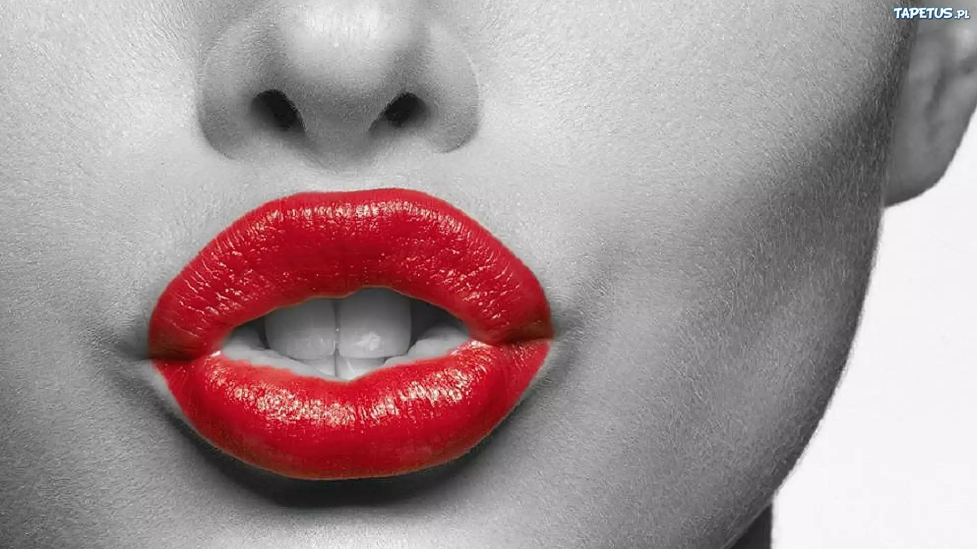 Чувственный оскал. Женские губы. Красные губы. Губки женские. Красивые красные губы.