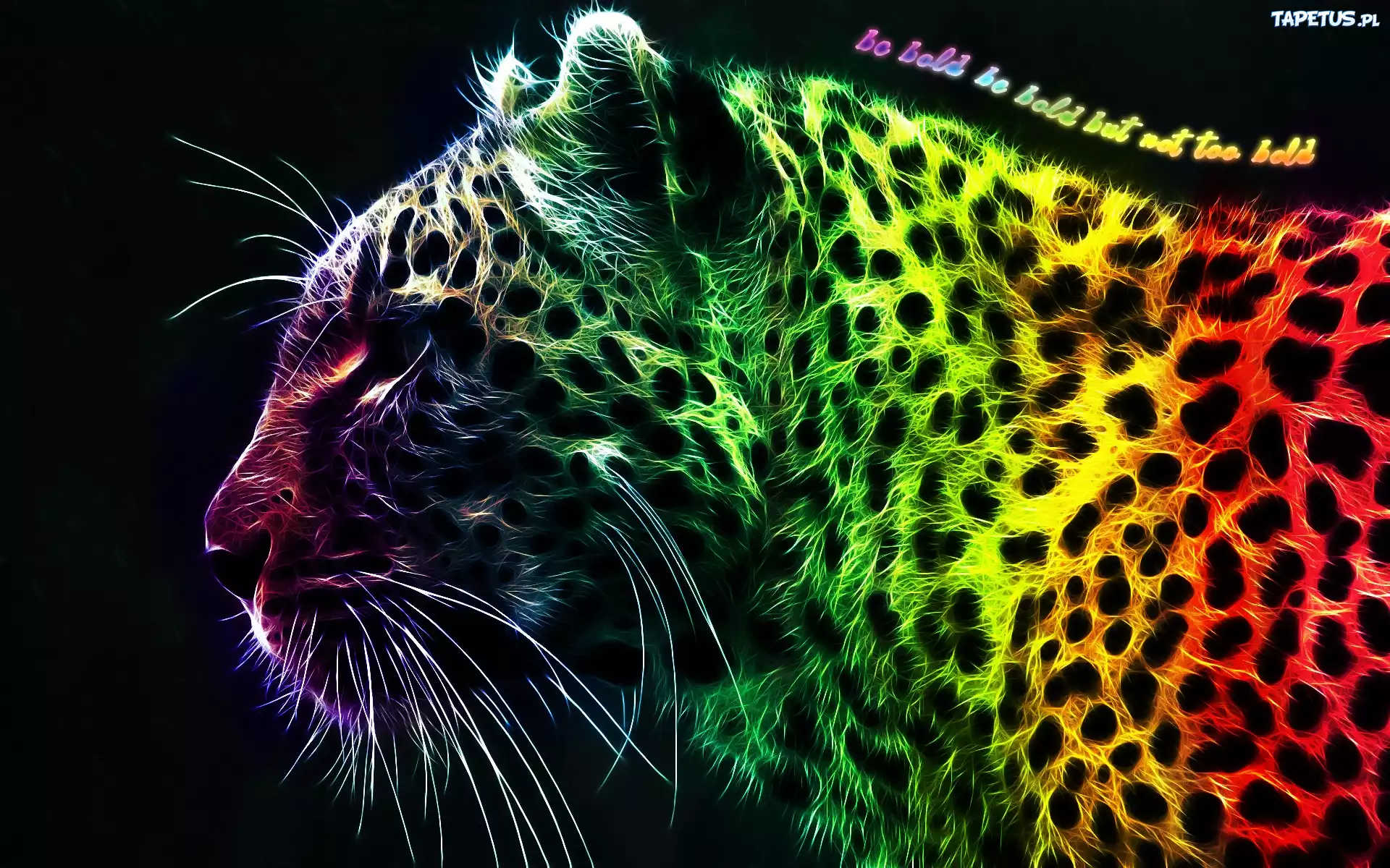 Leopard, Kolorowy, Fractalius