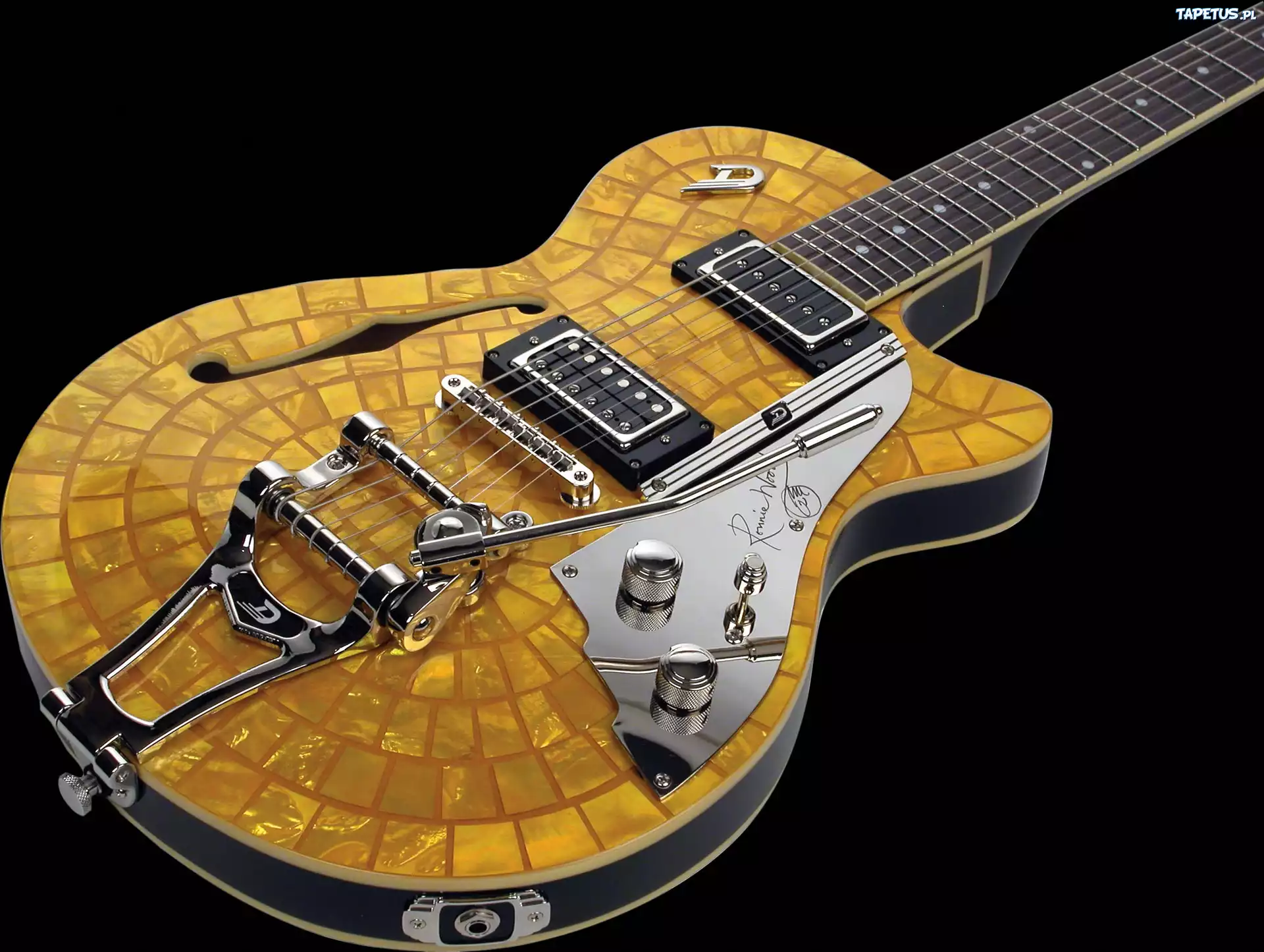 Gitara, Elektryczna, Autograf