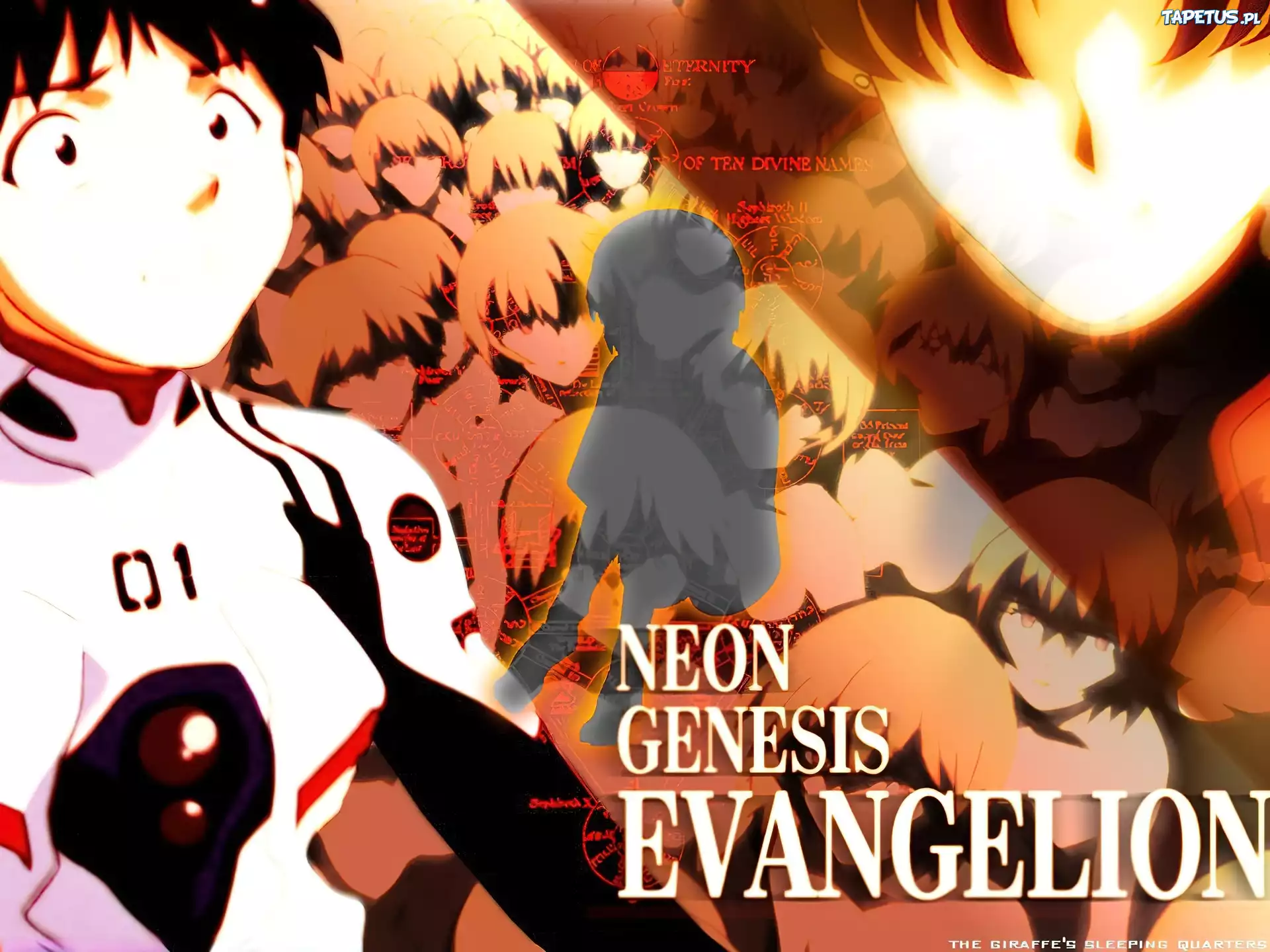 Neon Genesis Evangelion, ludzie, postać