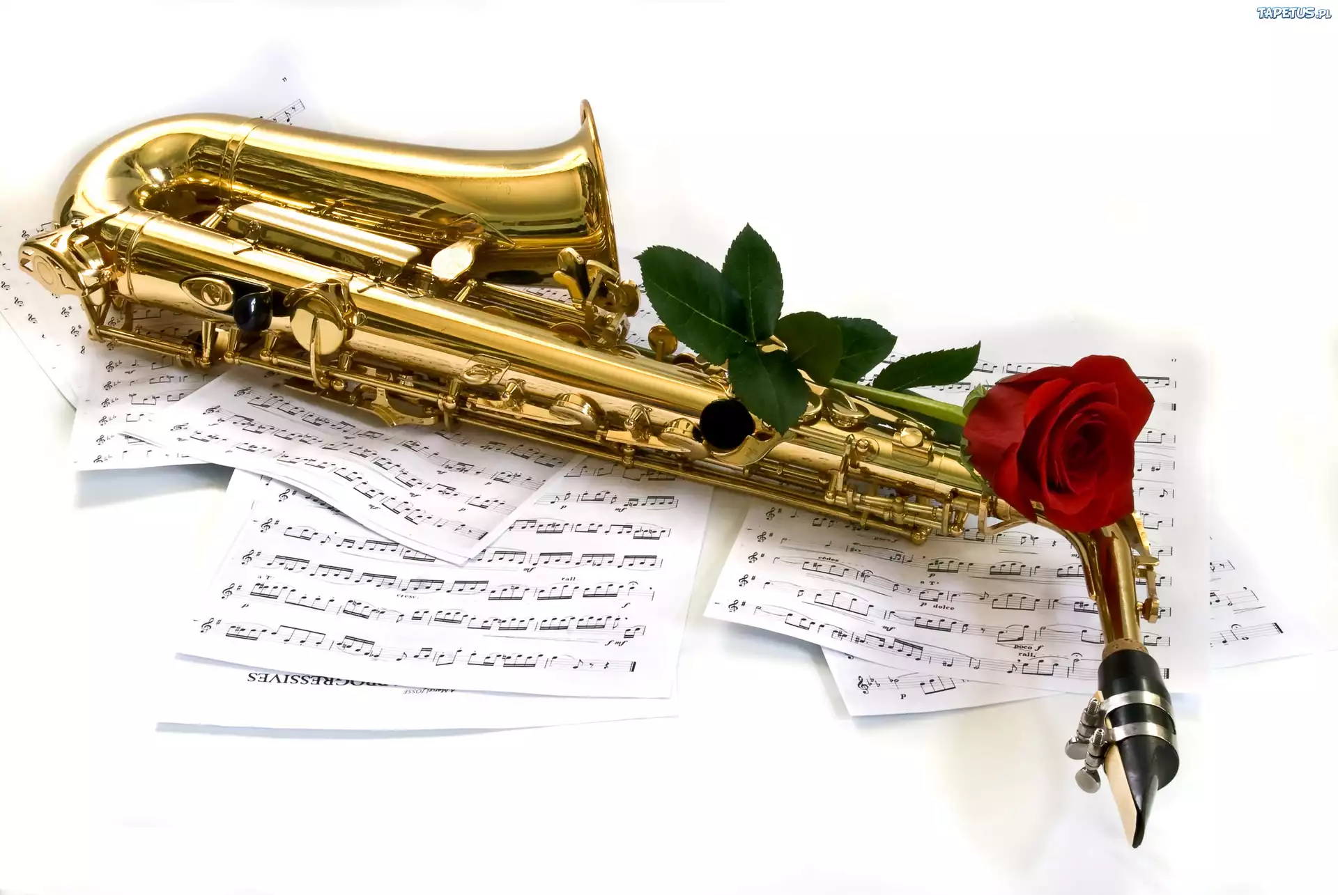 Instrument, Muzyczny, Saksofon, Nuty, Róża
