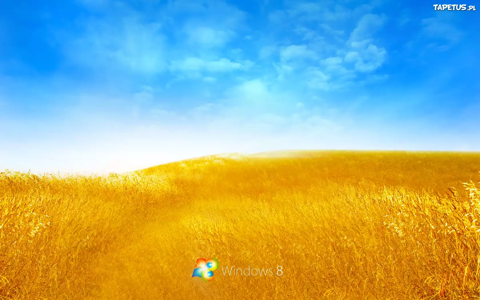 Łany, Zboża, Niebo, Windows 8, Logo