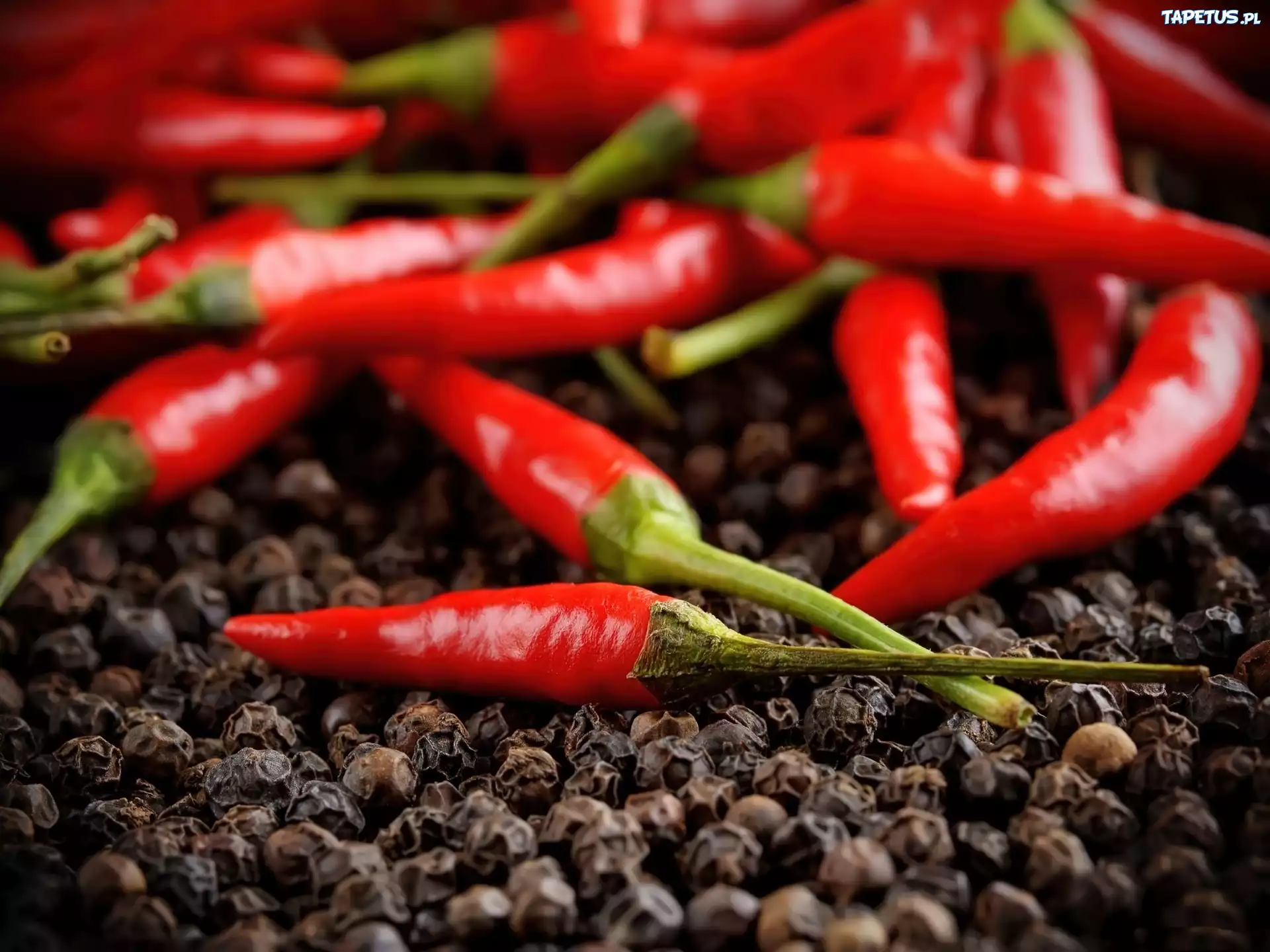 Ostra, Papryczka, Chilli, Pieprz