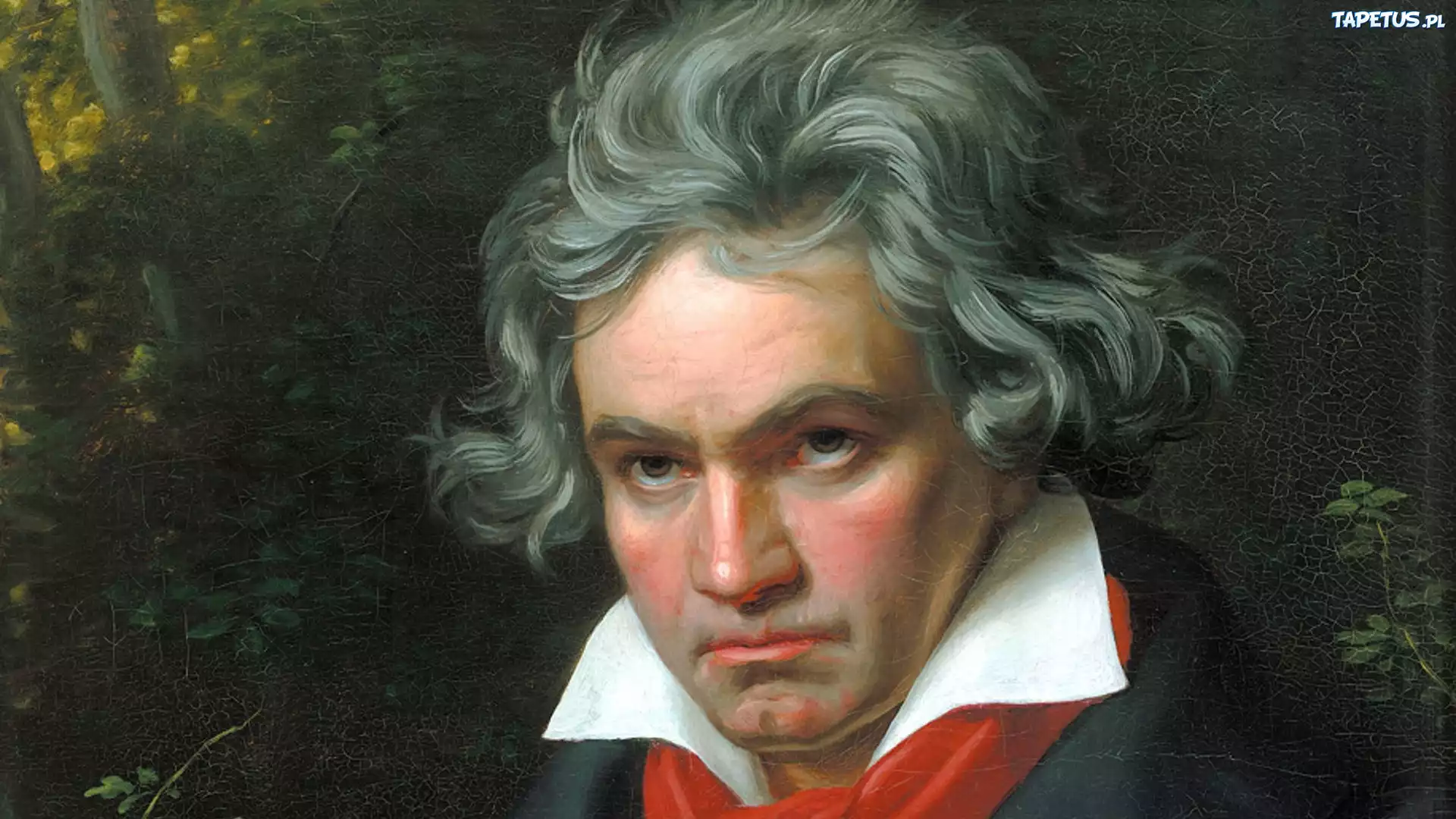 Ludwig Van Beethoven, Portret, Obraz, Kompozytor