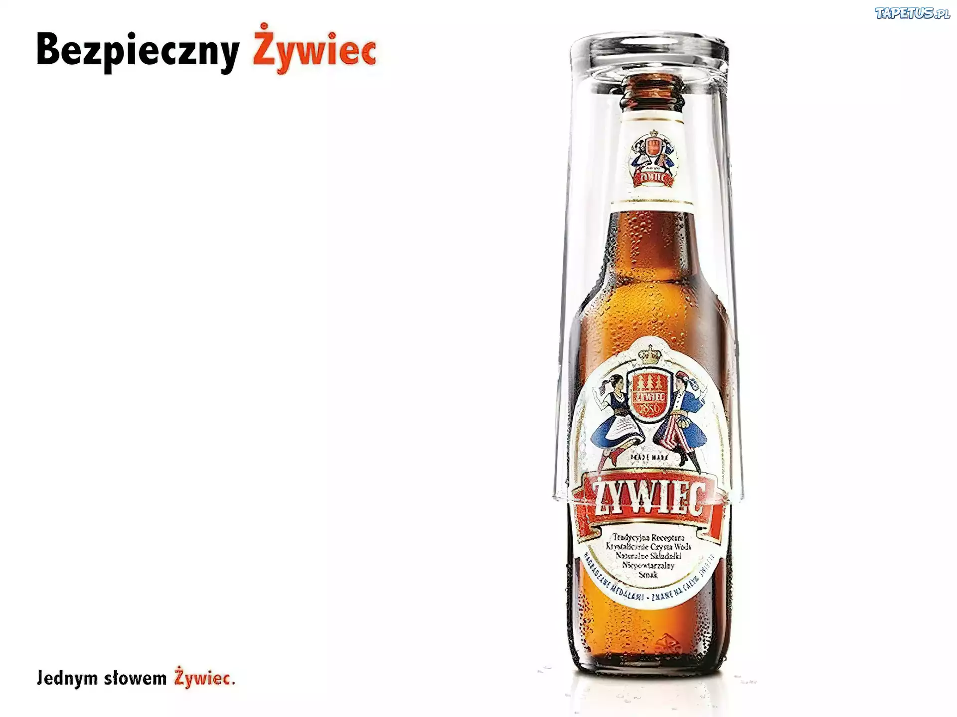 Piwo, Piwo Żywiec, szklanka