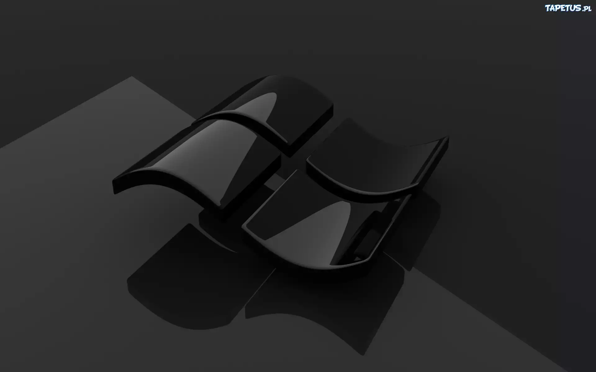 Windows, Logo
