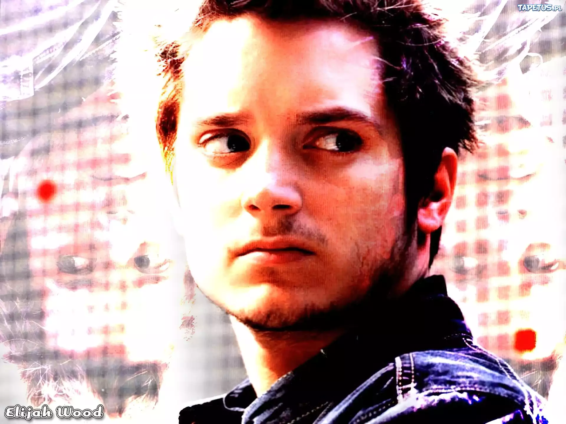 Elijah Wood,twarz, broda
