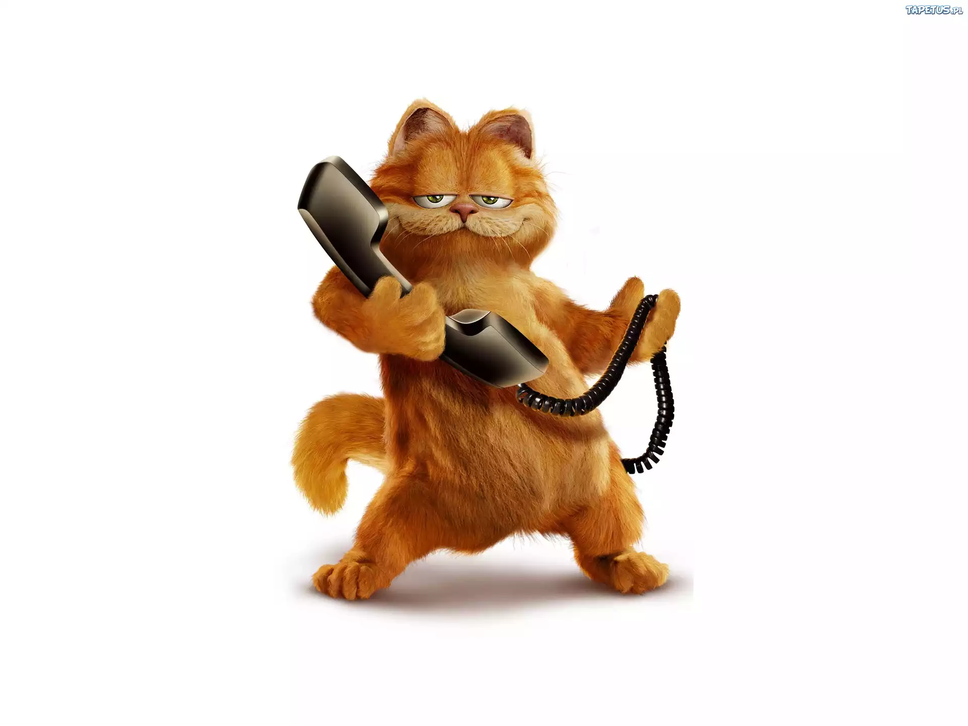 Kot, Słuchawka, Garfield