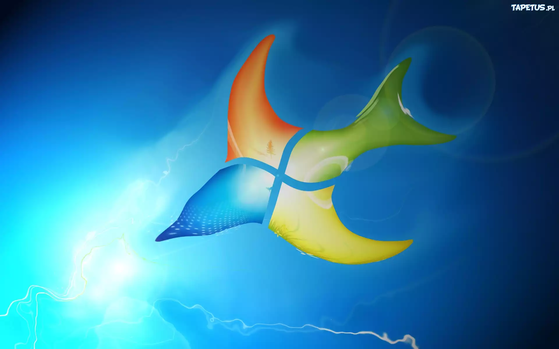 System, Operacyjny, Windows, Ptak