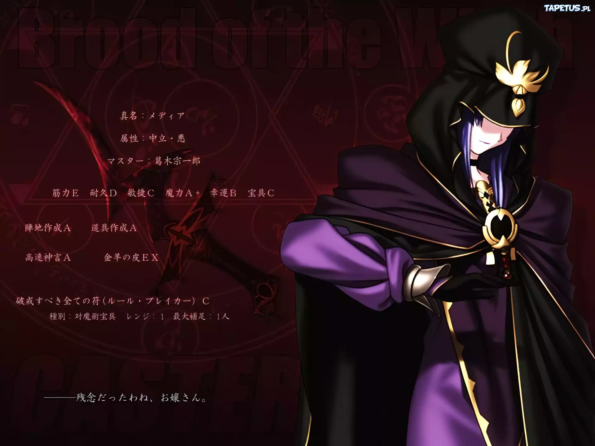 Fate Stay Night, napisy, postać, kaptur, rękawica