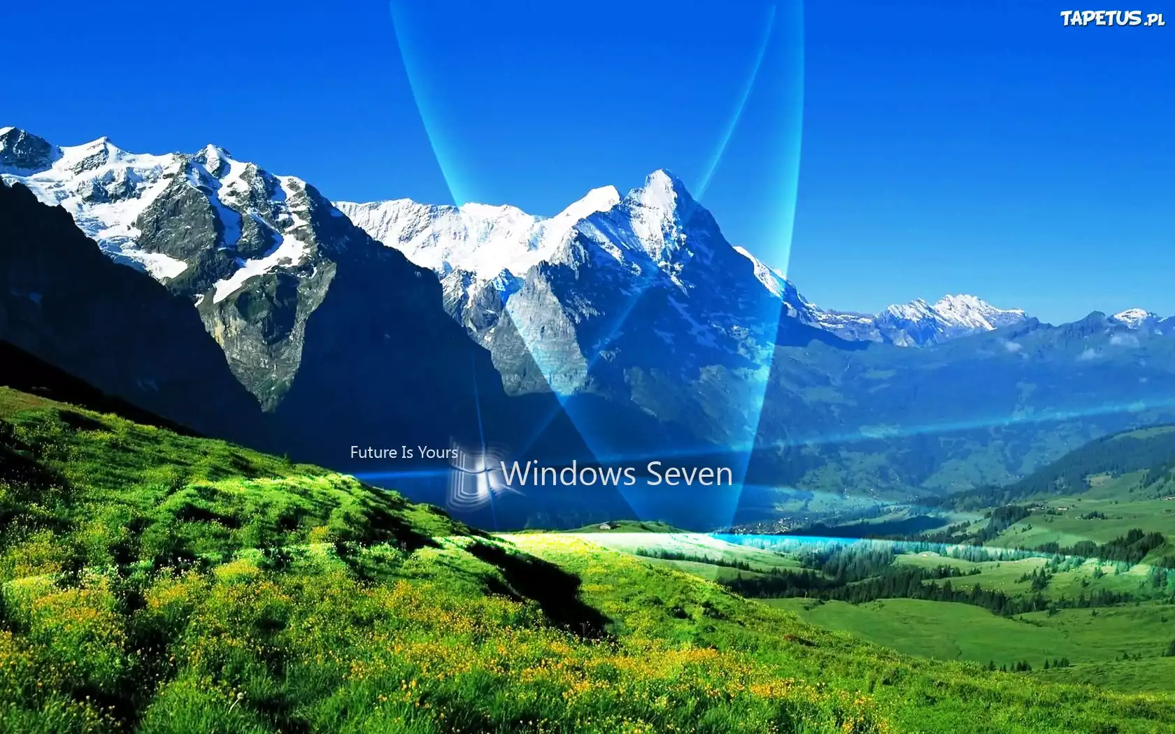 System, Operacyjny, Windows, Siedem, Łąka, Góry