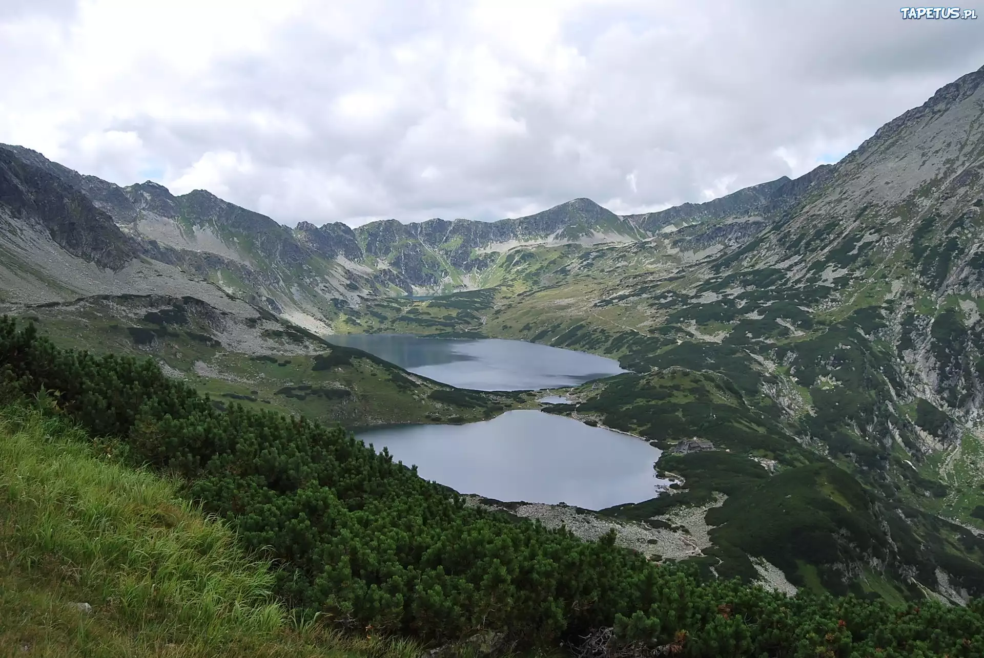 Tatry, Dolina Pięciu Stawów, Jeziora