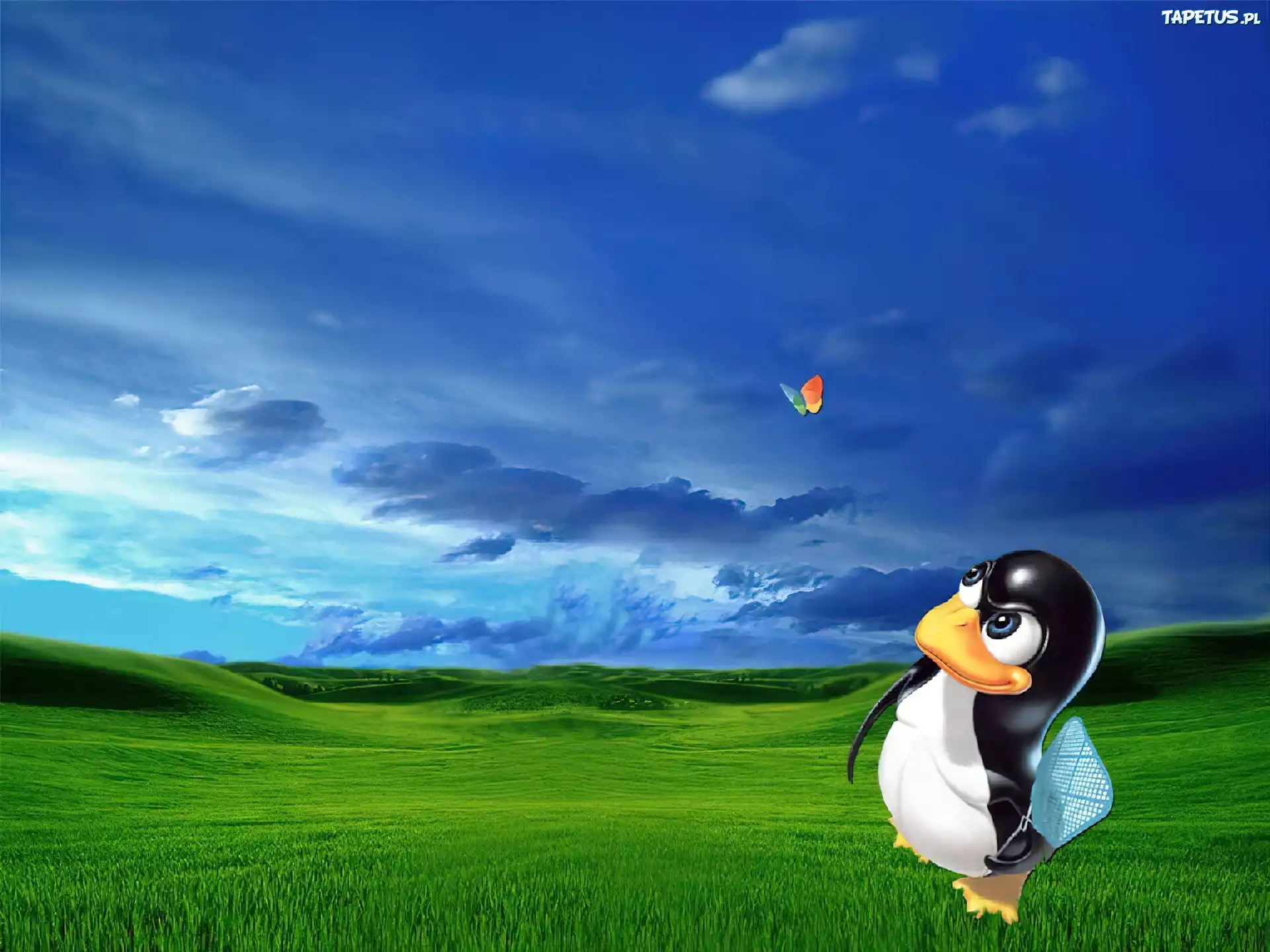 Linux, pingwin, łapka, motyl, wzgórza, trawa