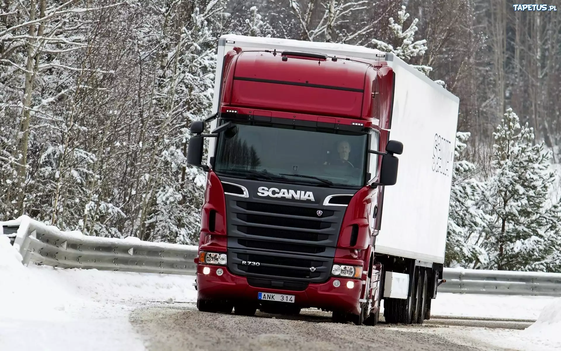 Scania R730, Droga, Las