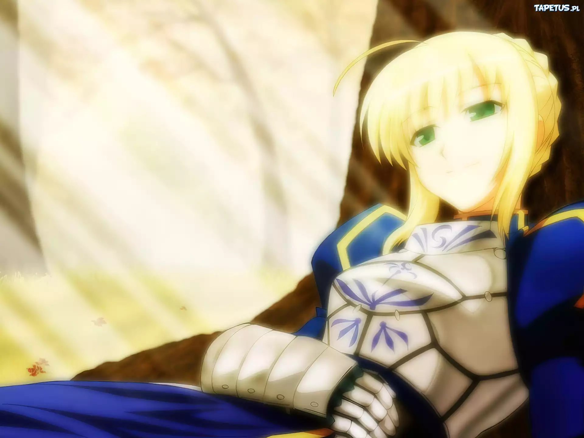Fate Stay Night, dziewczyna, zbroja